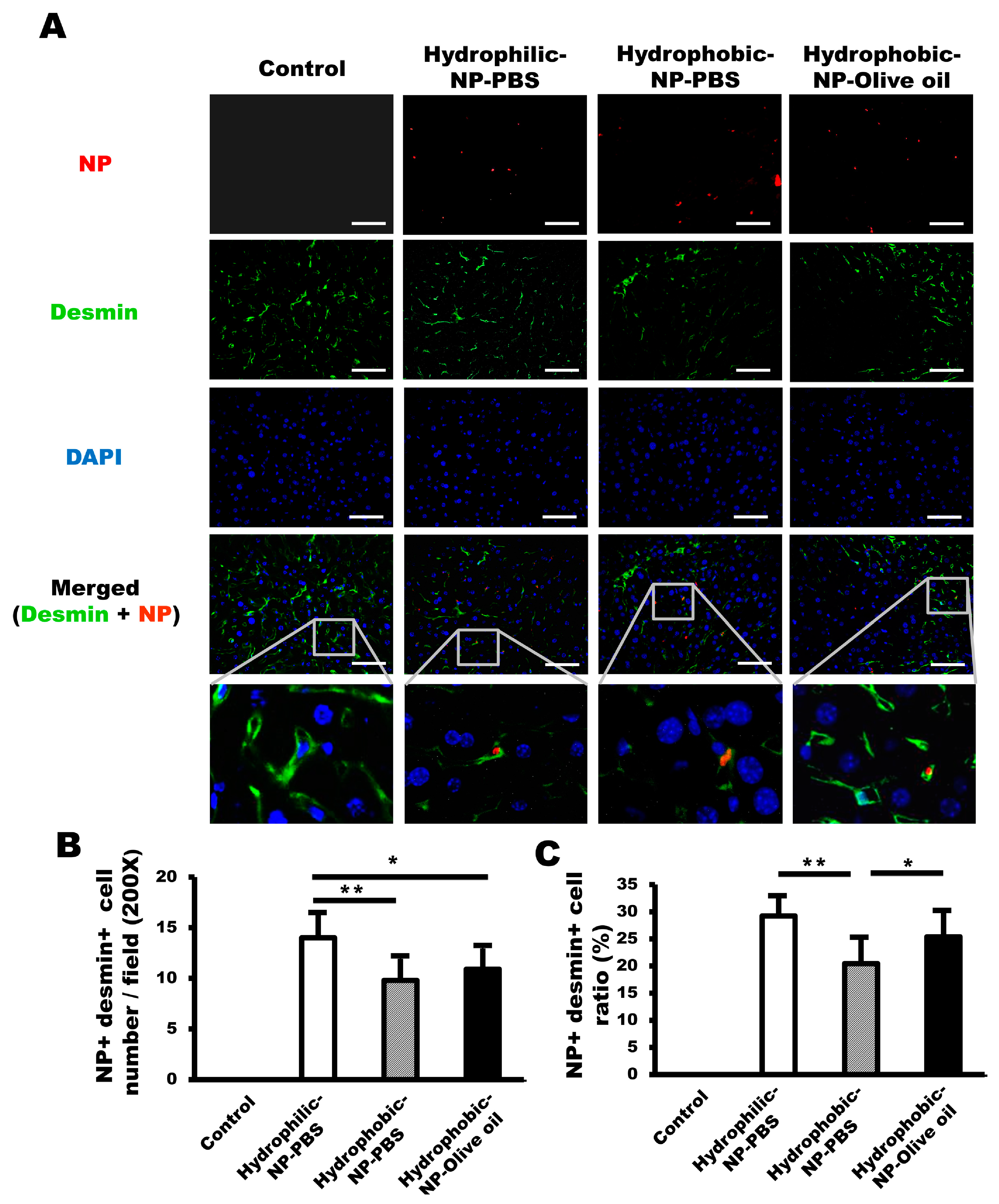 Ijms 20 03812 g005 Ijms 20 03812 g005