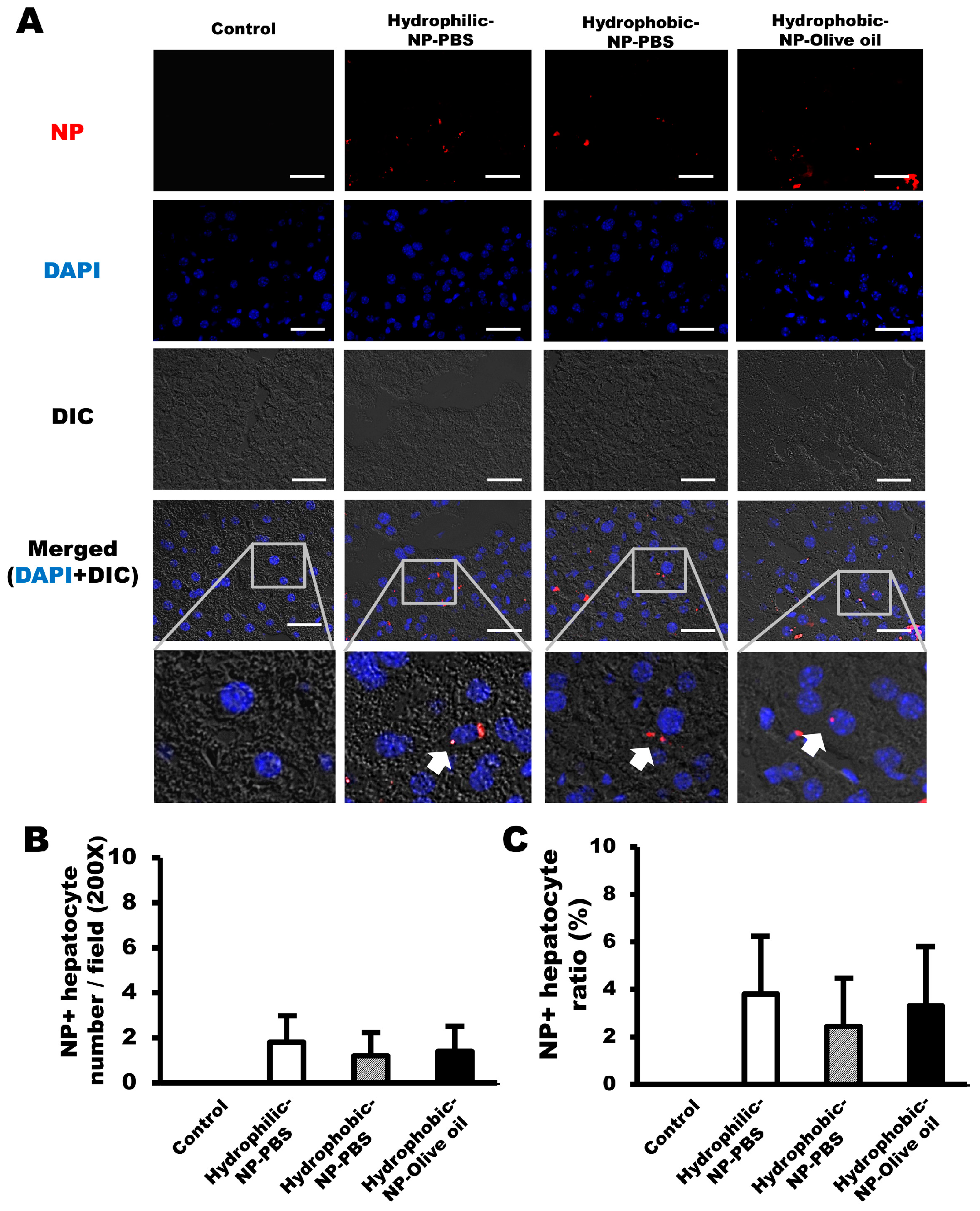 Ijms 20 03812 g006 Ijms 20 03812 g006