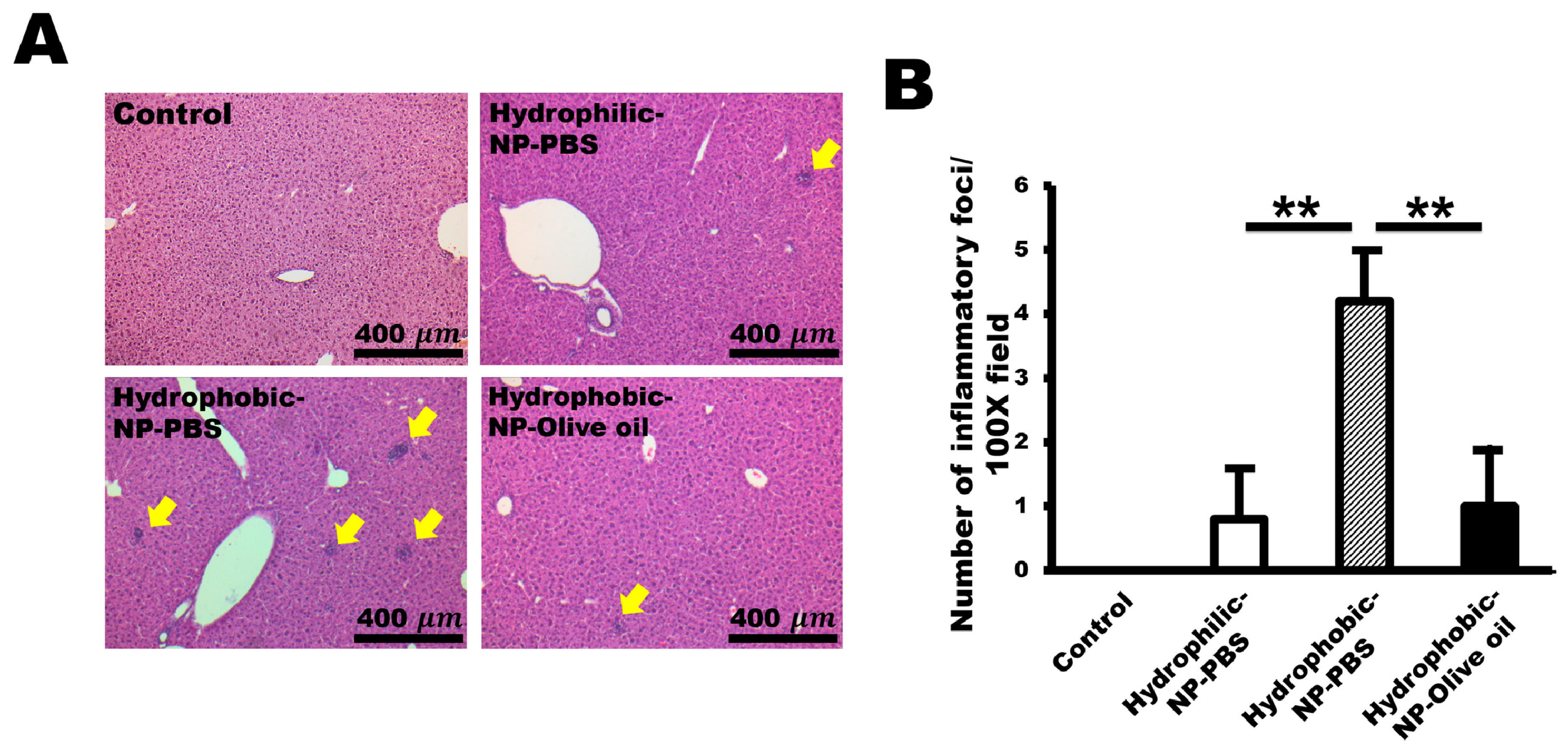 Ijms 20 03812 g007 Ijms 20 03812 g007