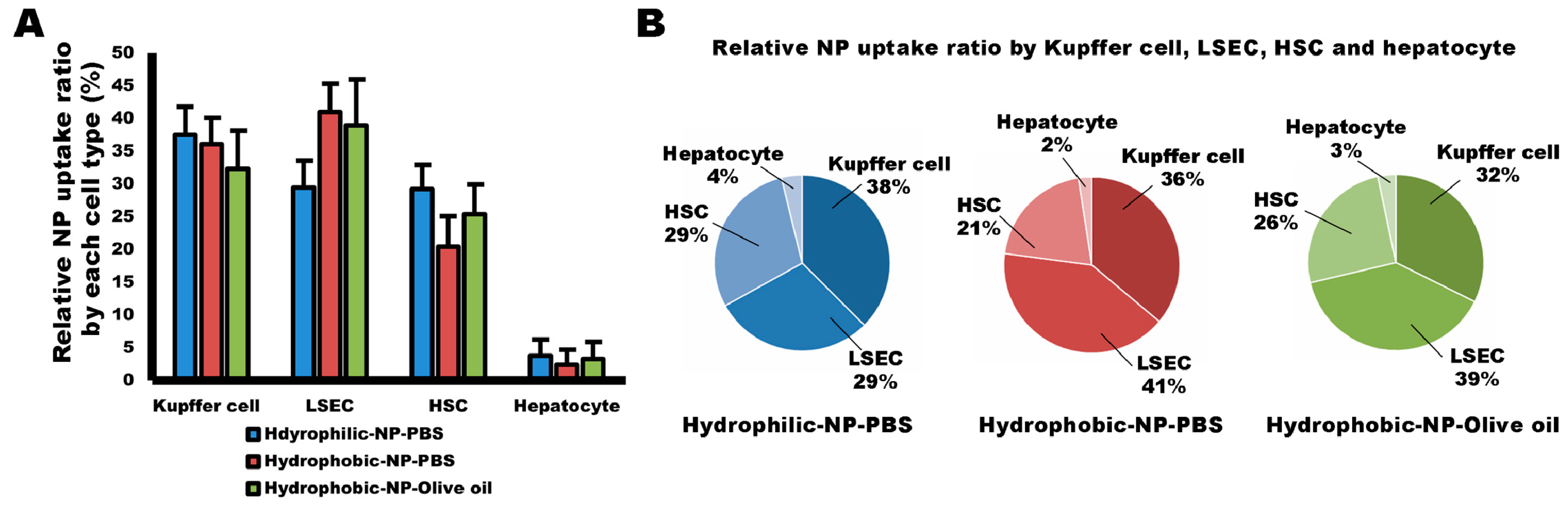 Ijms 20 03812 g008 Ijms 20 03812 g008