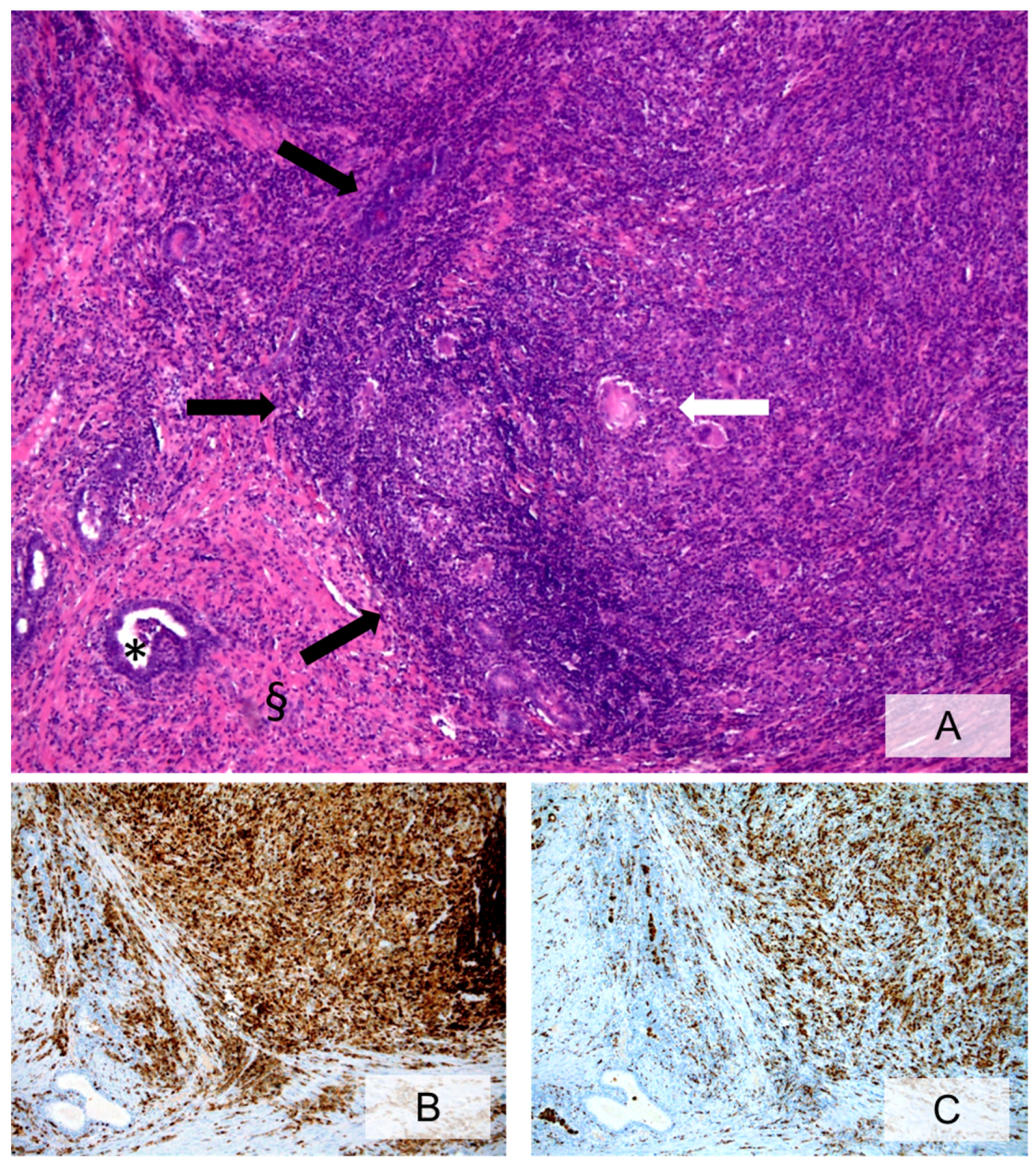 Ijms 20 03833 g003