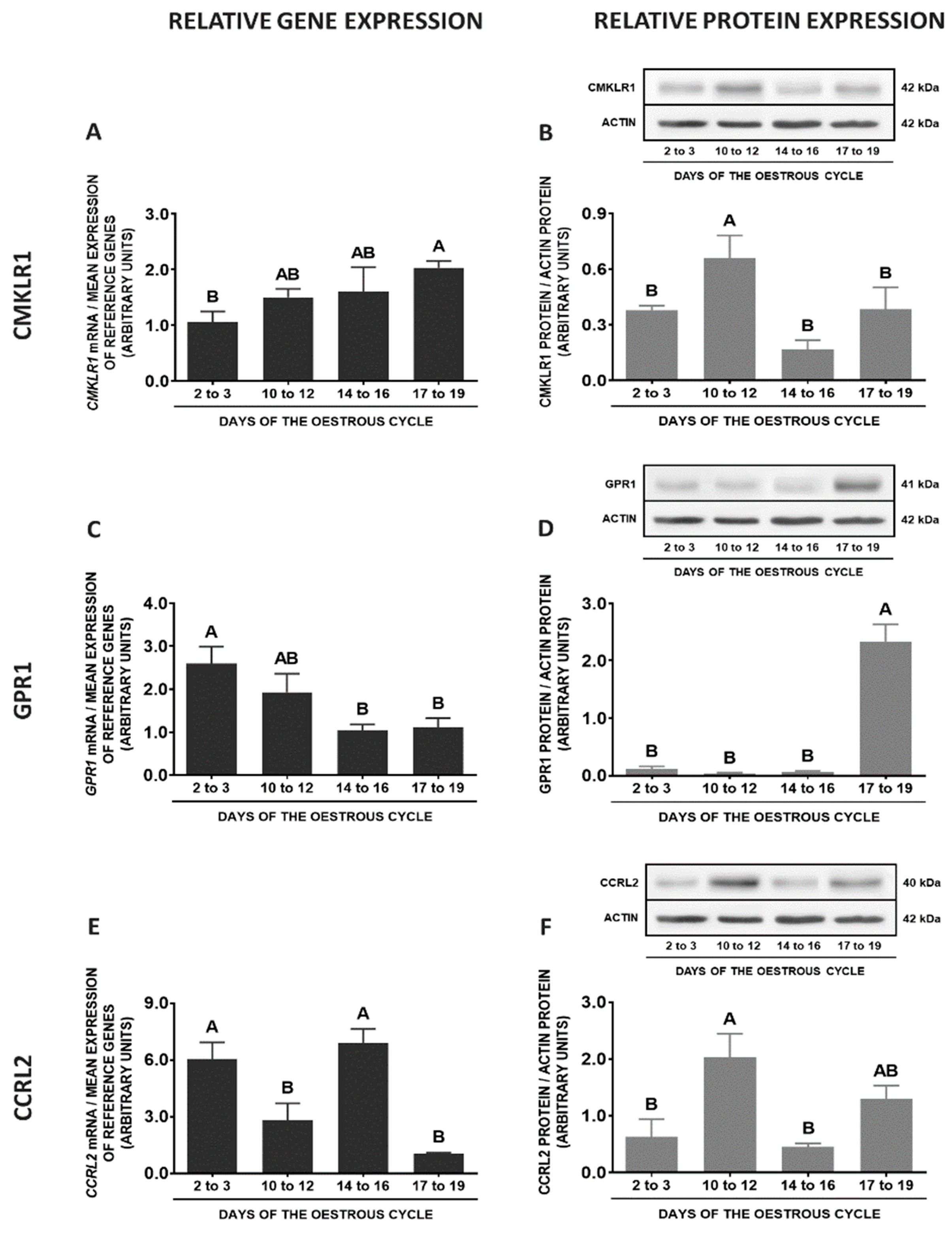 Ijms 20 03887 g005a Ijms 20 03887 g005a