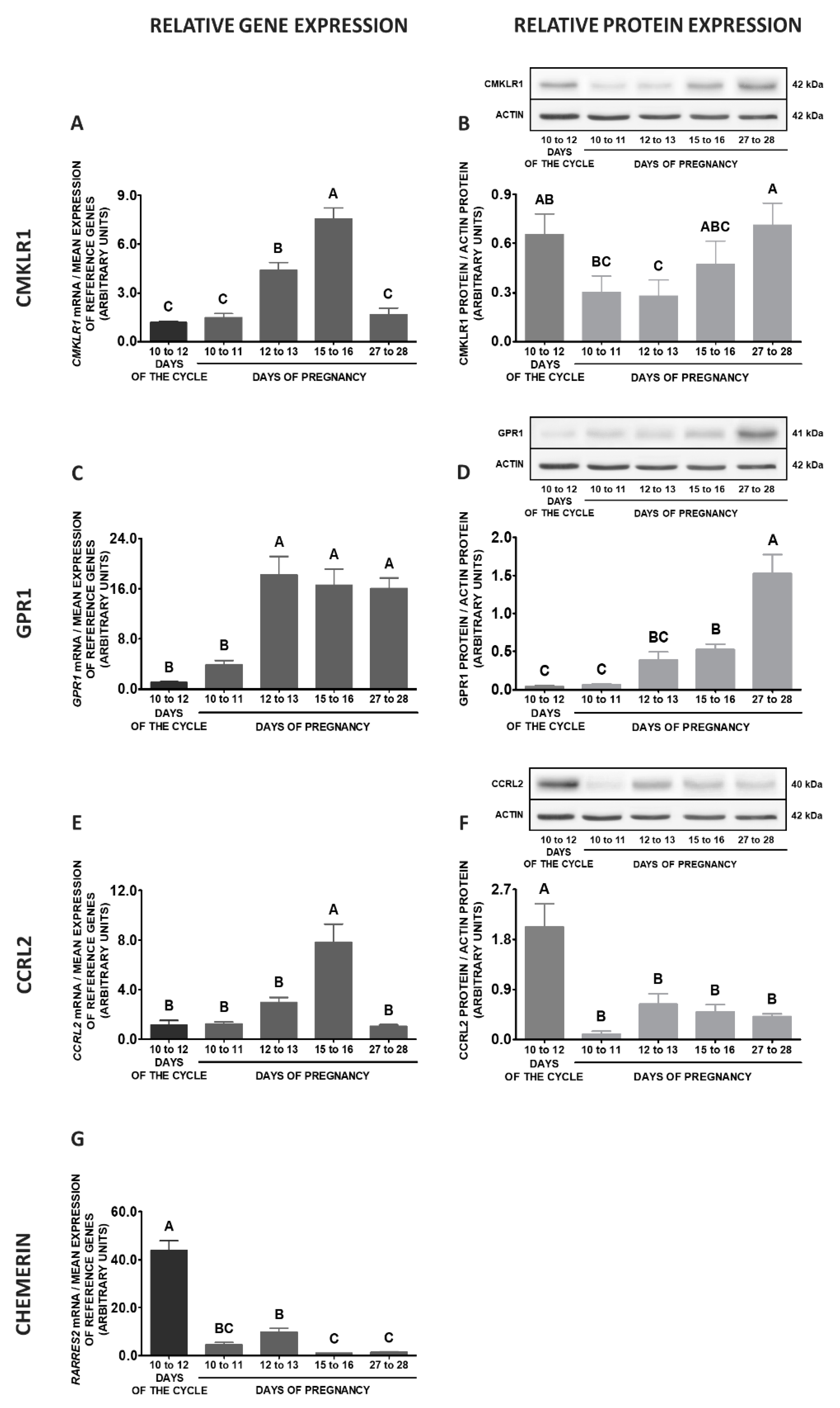 Ijms 20 03887 g007 Ijms 20 03887 g007