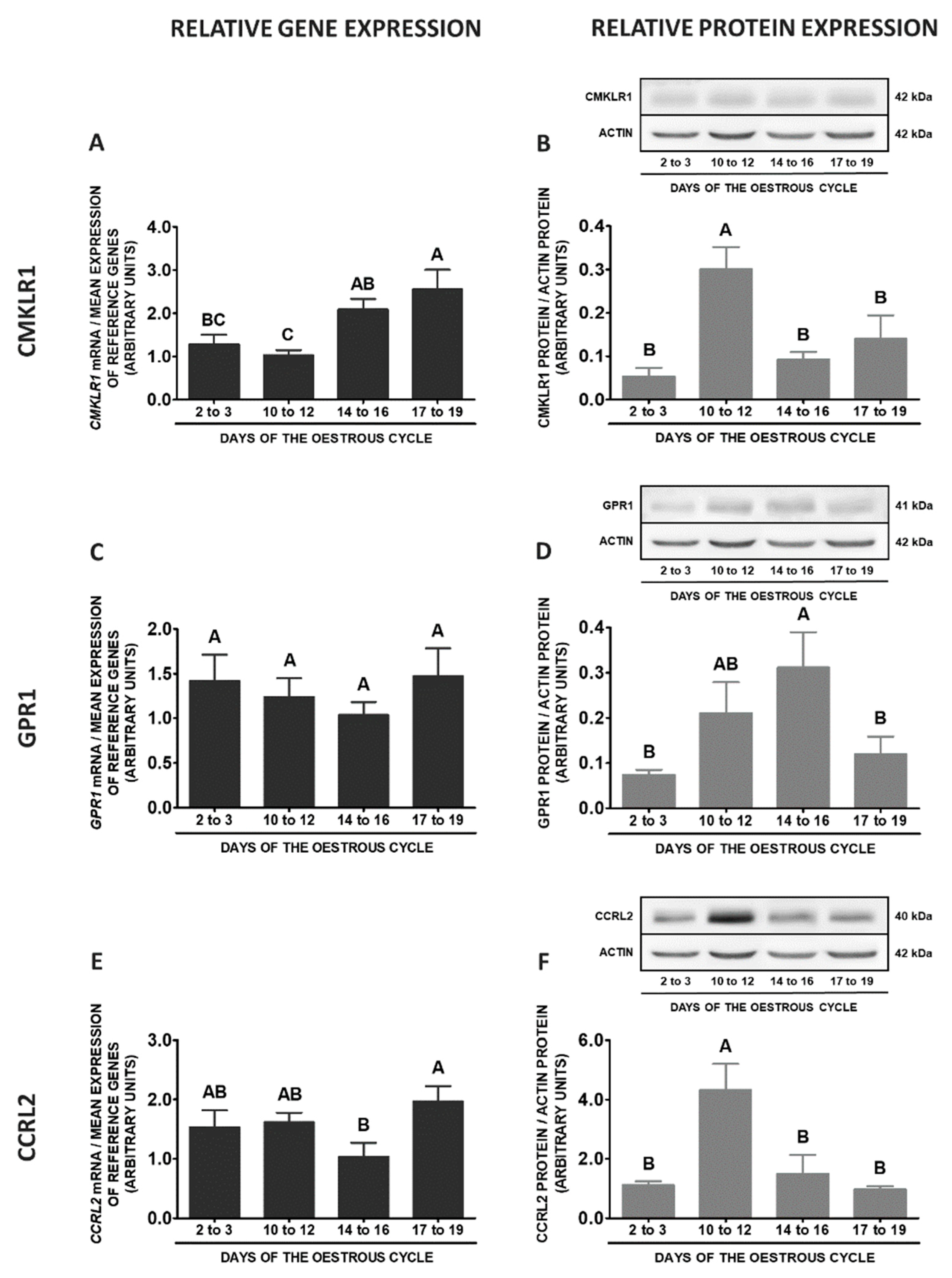 Ijms 20 03887 g008a Ijms 20 03887 g008a