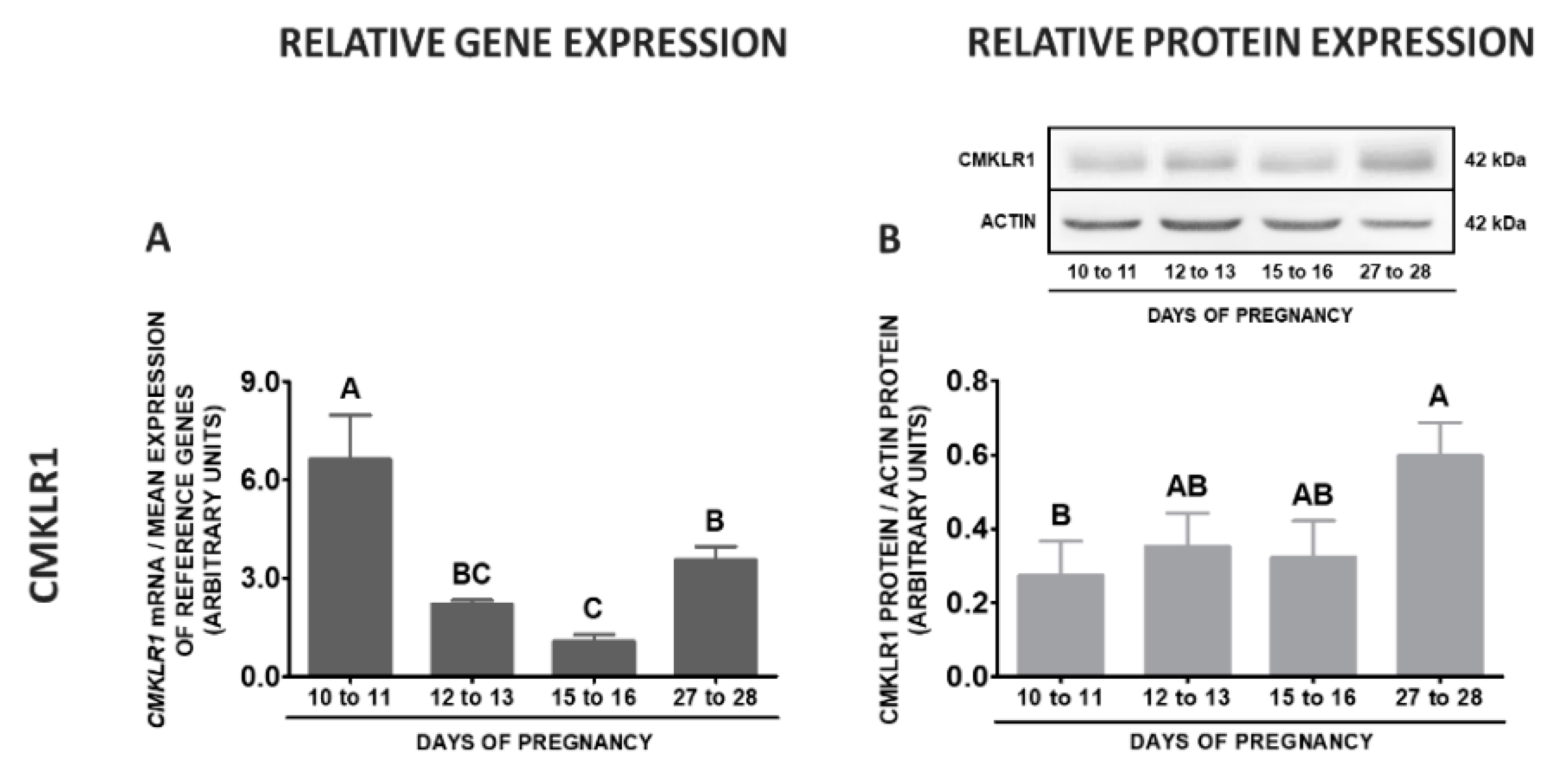 Ijms 20 03887 g009a Ijms 20 03887 g009a