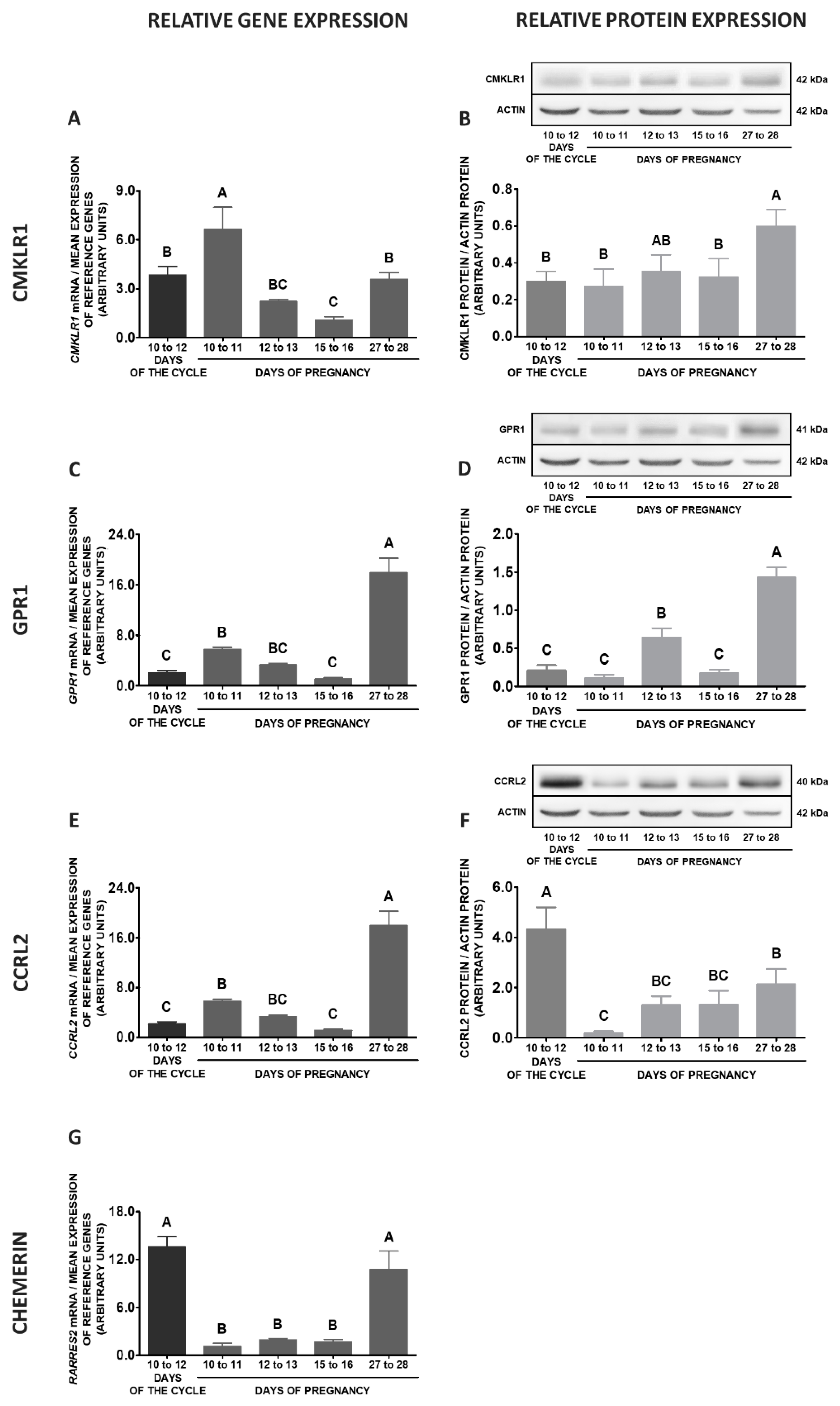 Ijms 20 03887 g010 Ijms 20 03887 g010