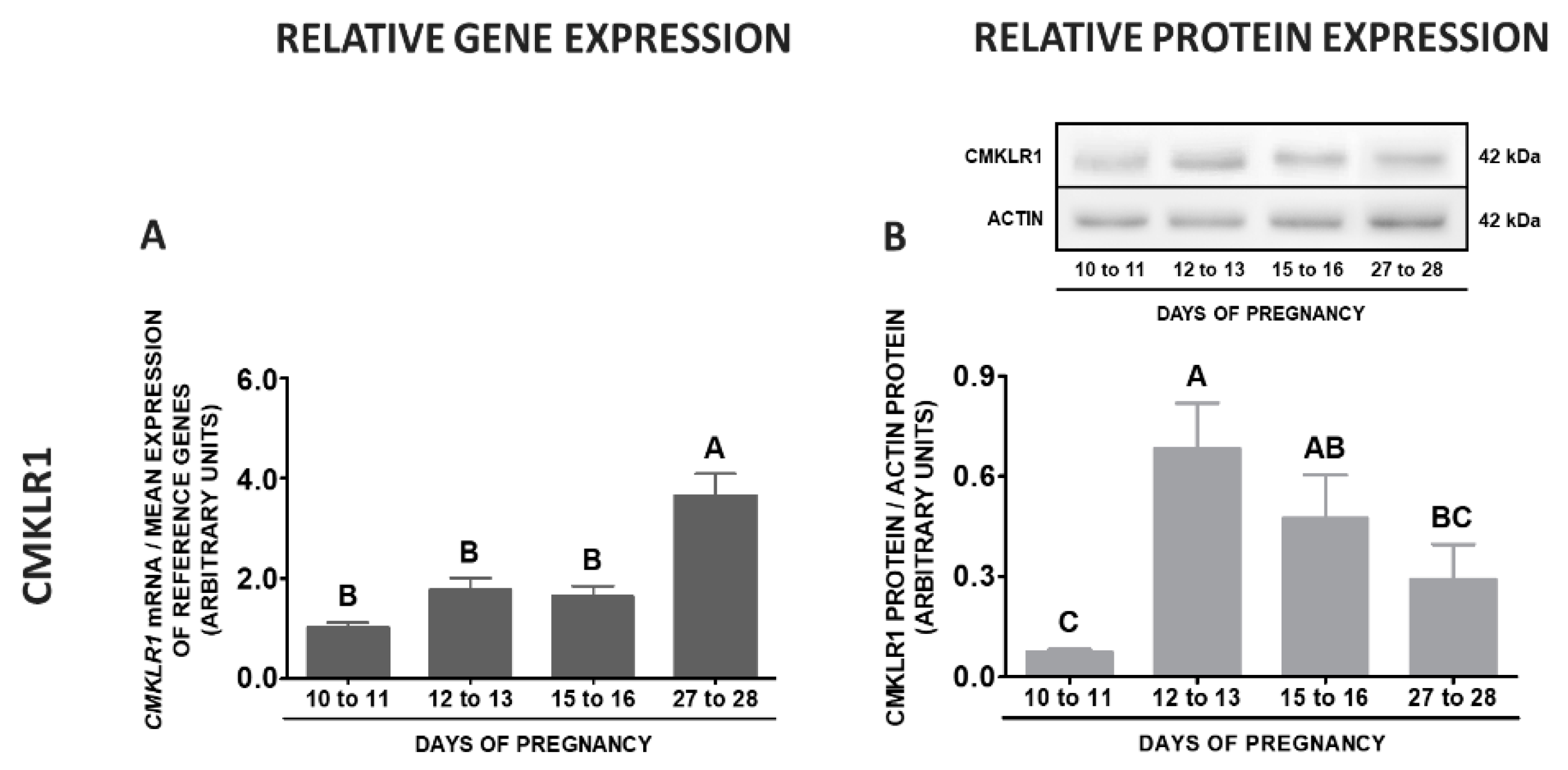Ijms 20 03887 g012a Ijms 20 03887 g012a