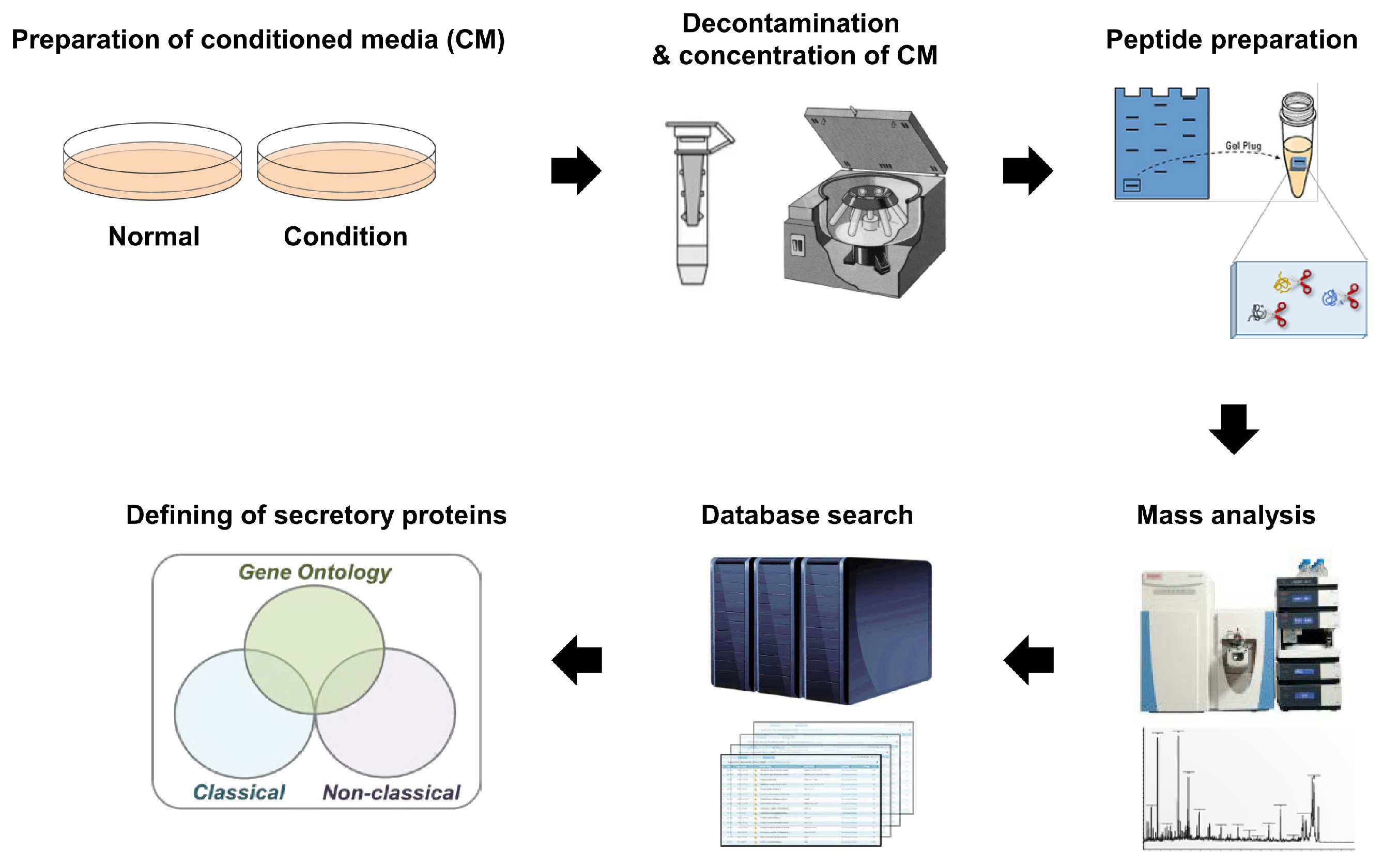 Ijms 20 03893 g001