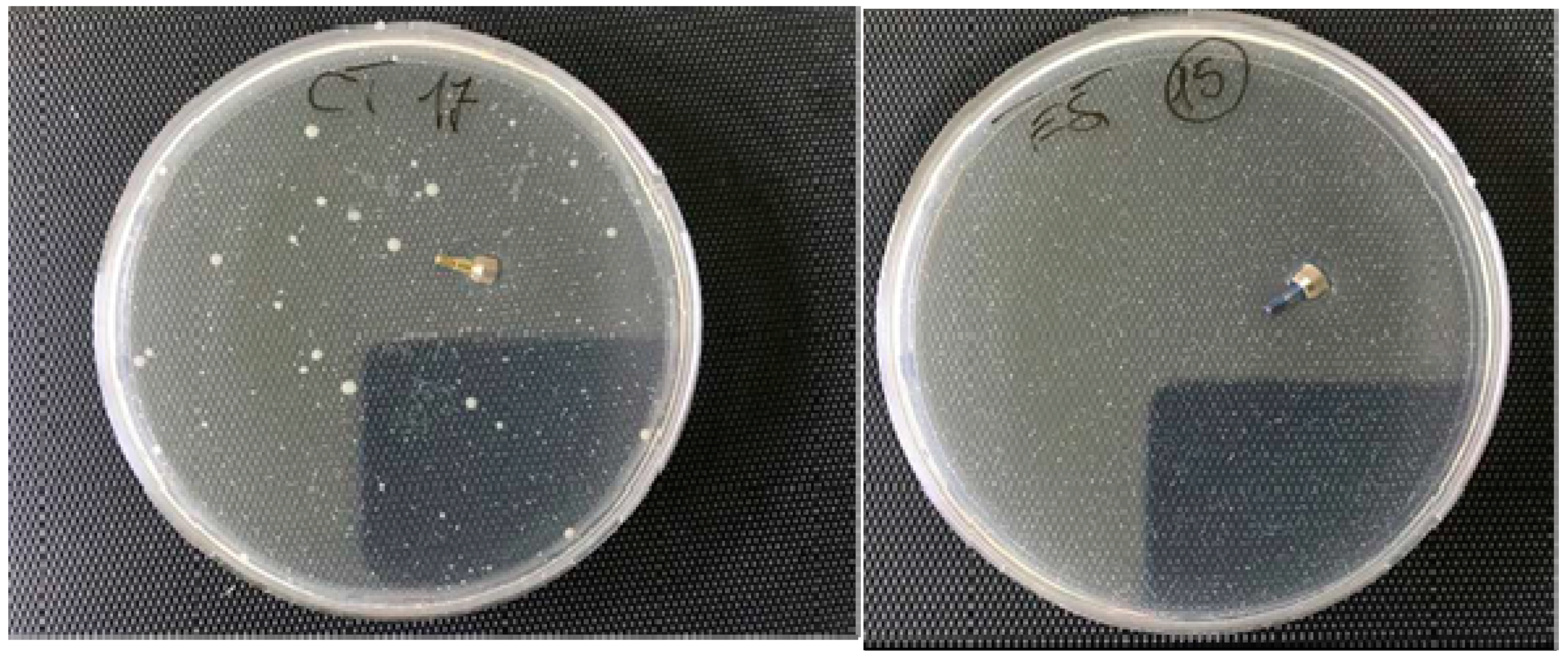 Ijms 20 03897 g002 Ijms 20 03897 g002