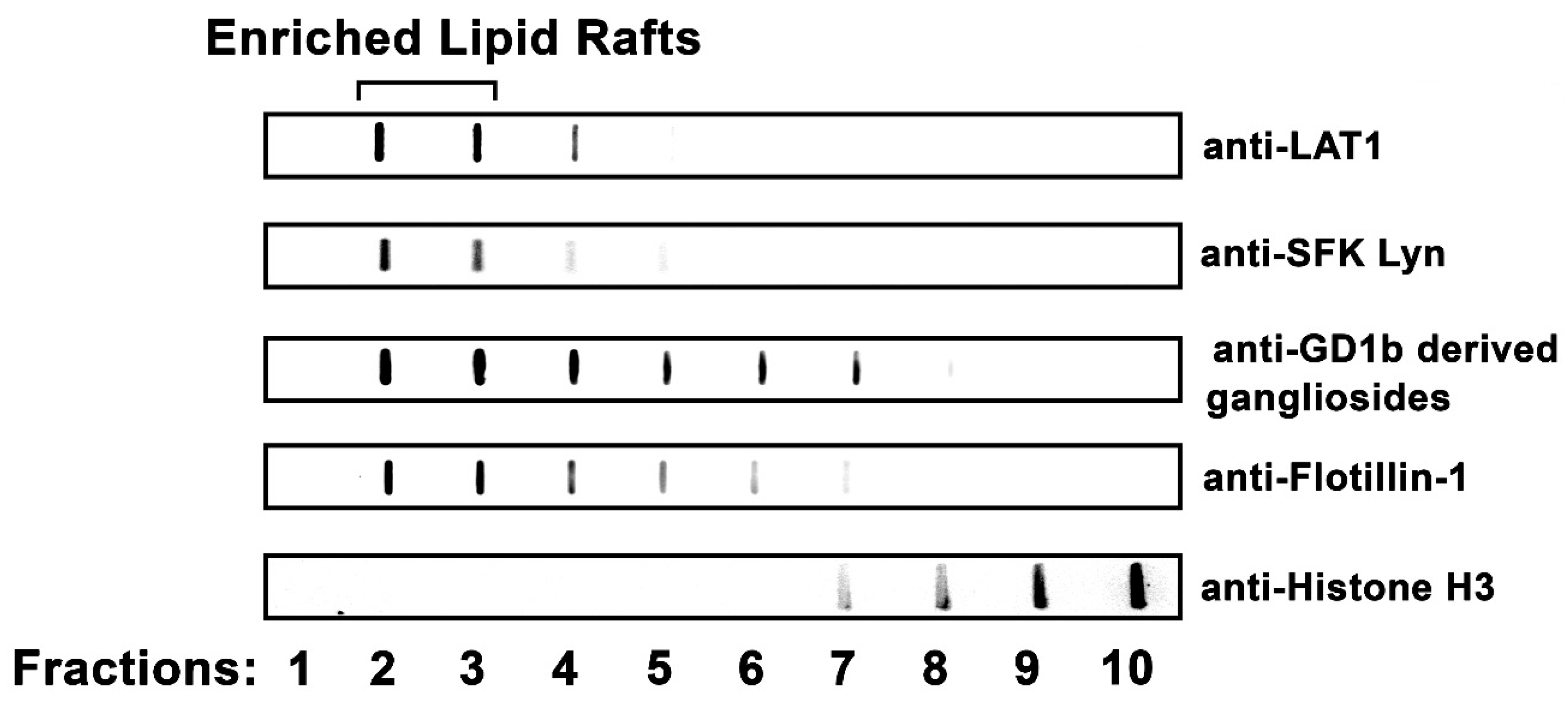 Ijms 20 03904 g001 Ijms 20 03904 g001