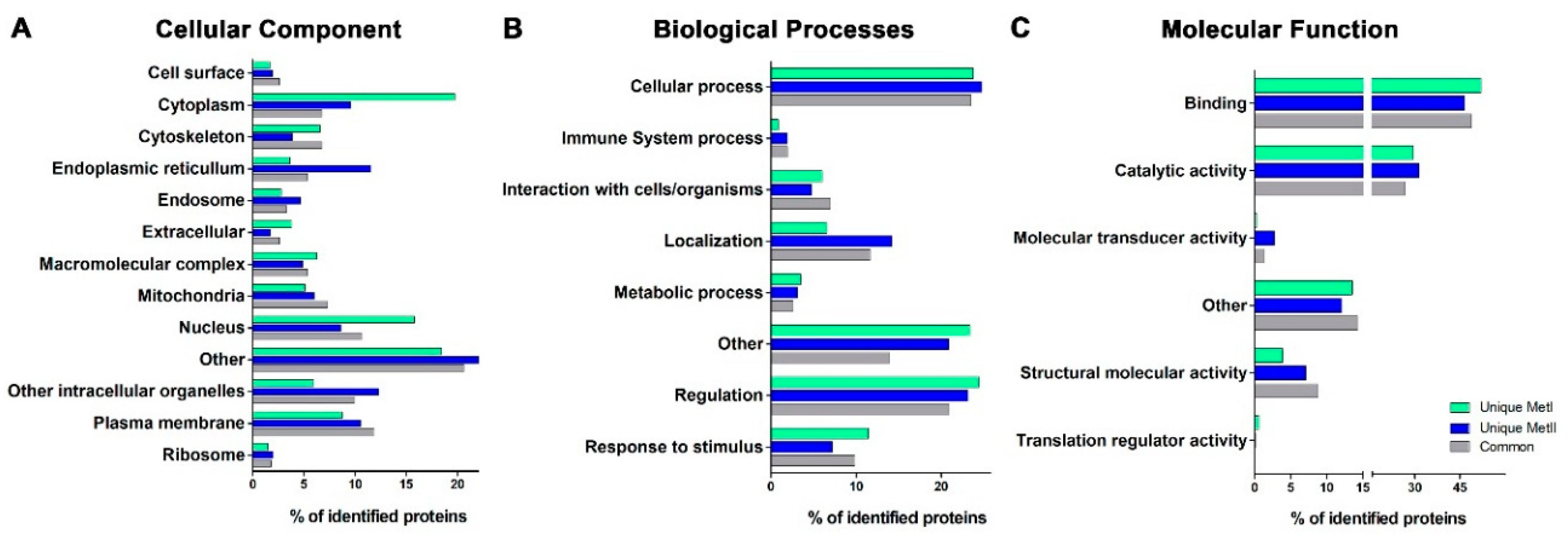Ijms 20 03904 g006 Ijms 20 03904 g006