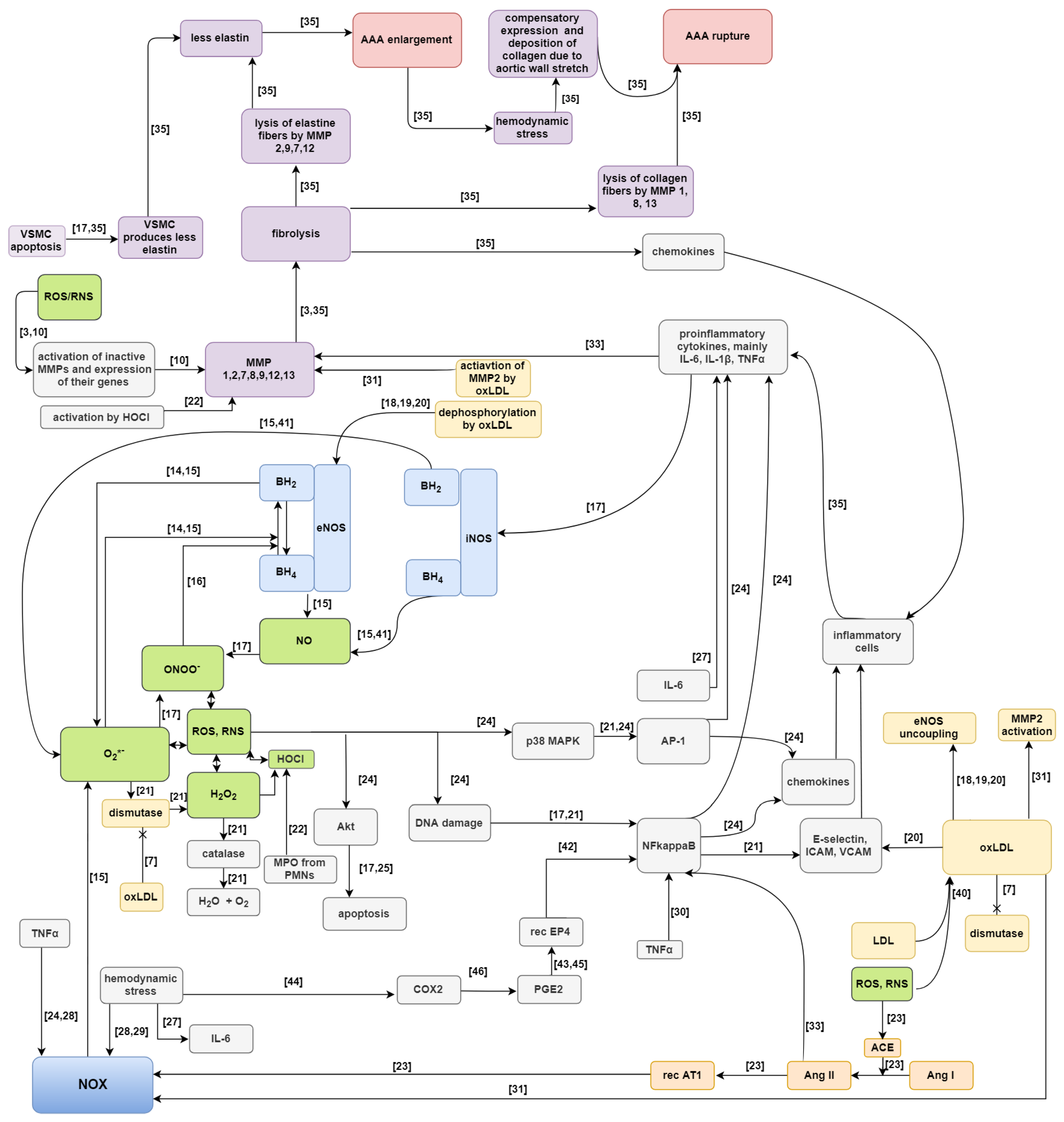 Ijms 20 03909 g001 Ijms 20 03909 g001