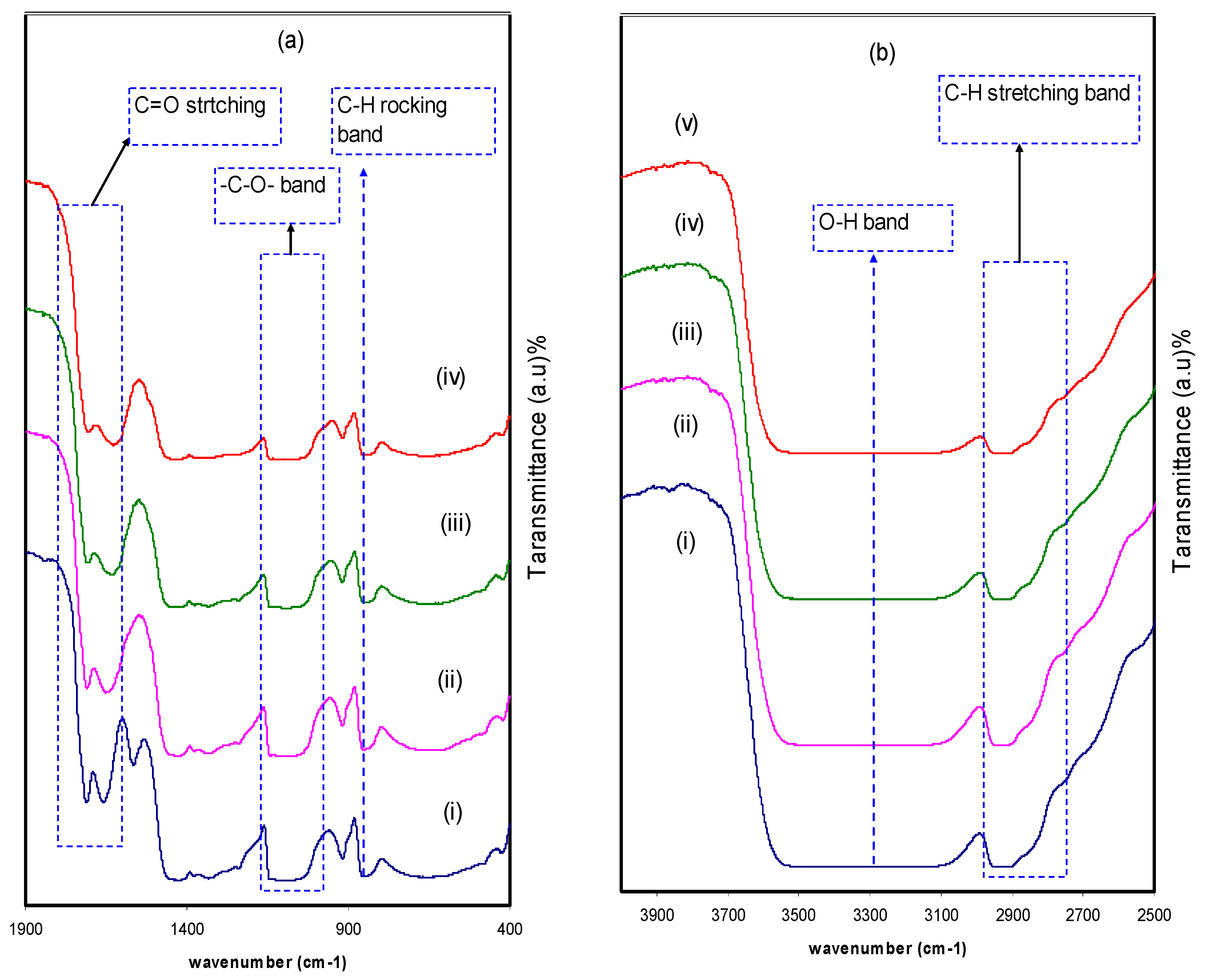 Ijms 20 03910 g003 Ijms 20 03910 g003