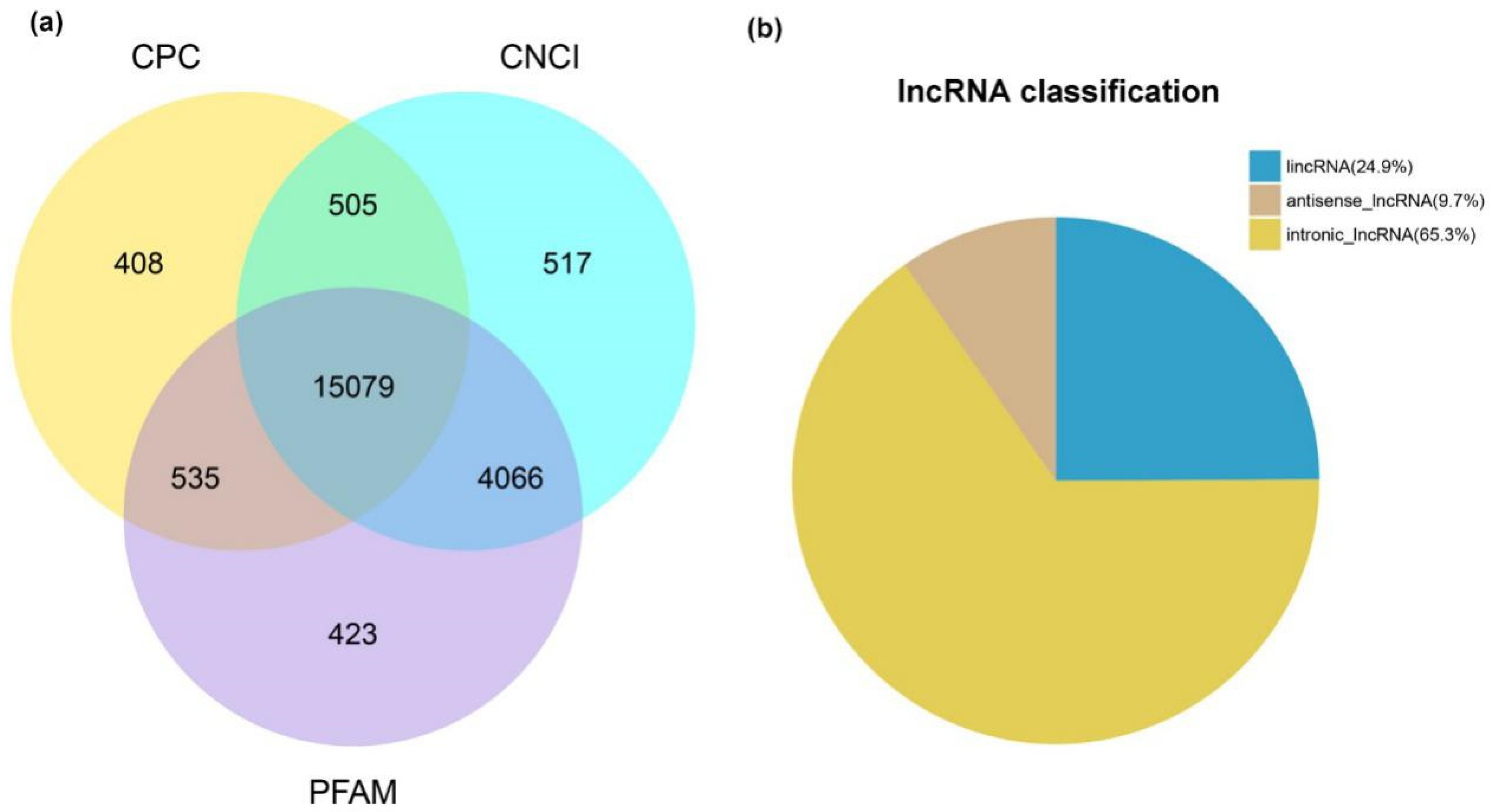 Ijms 20 03950 g001 Ijms 20 03950 g001