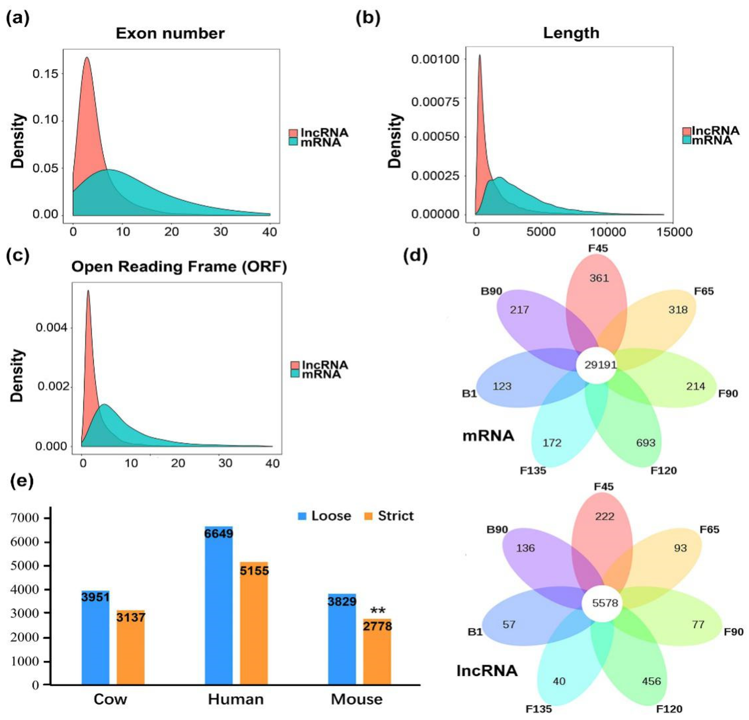 Ijms 20 03950 g002 Ijms 20 03950 g002