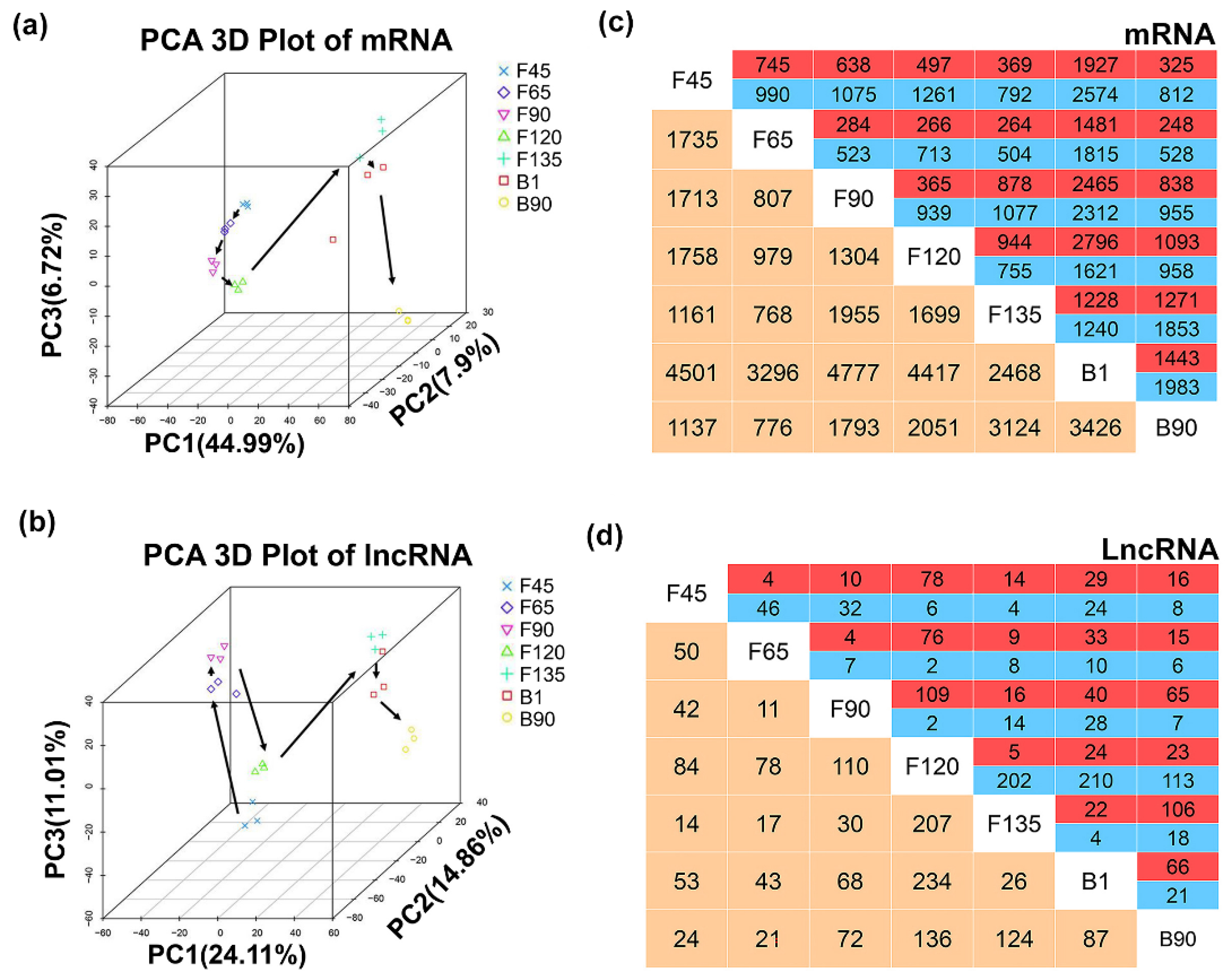 Ijms 20 03950 g003 Ijms 20 03950 g003