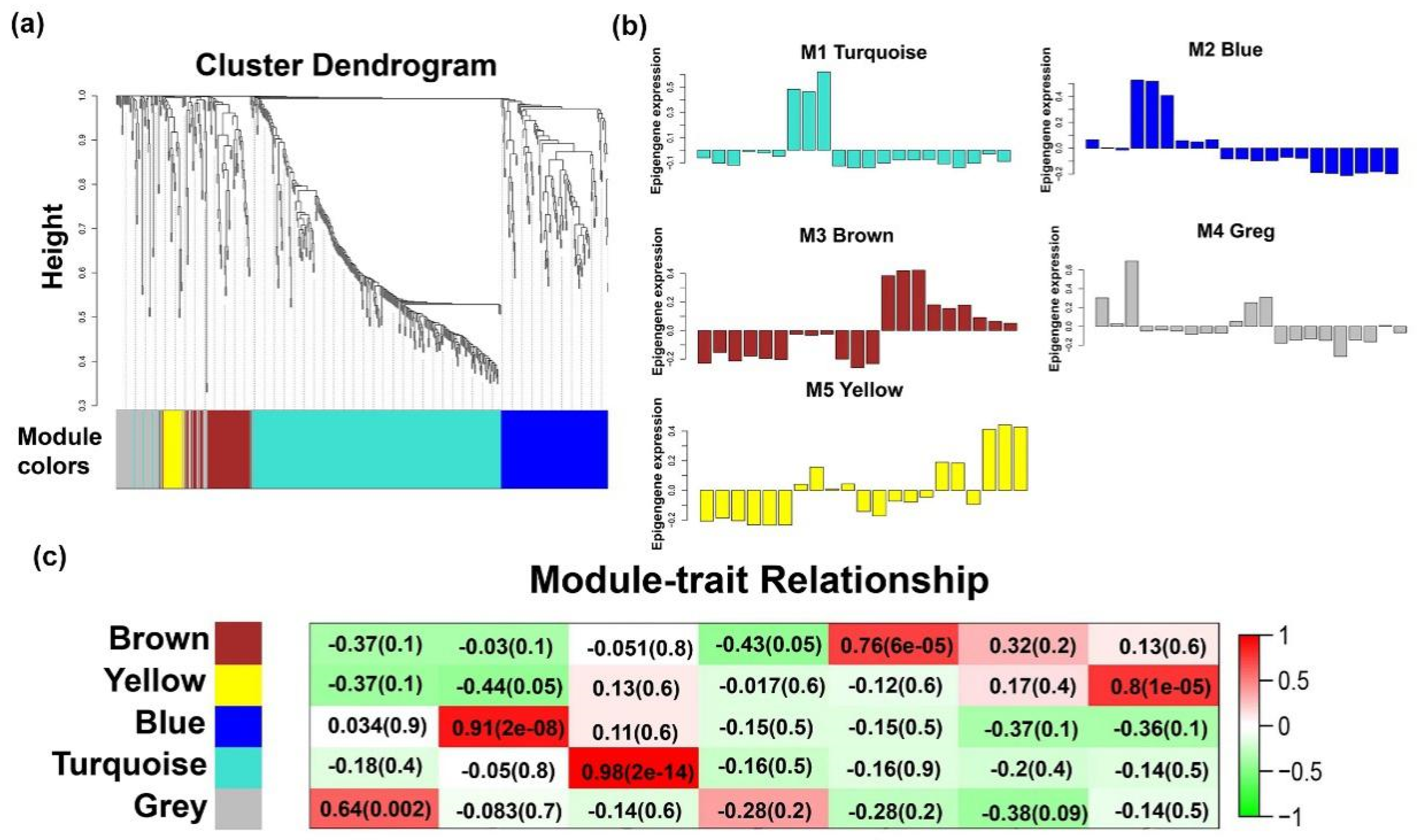 Ijms 20 03950 g004 Ijms 20 03950 g004