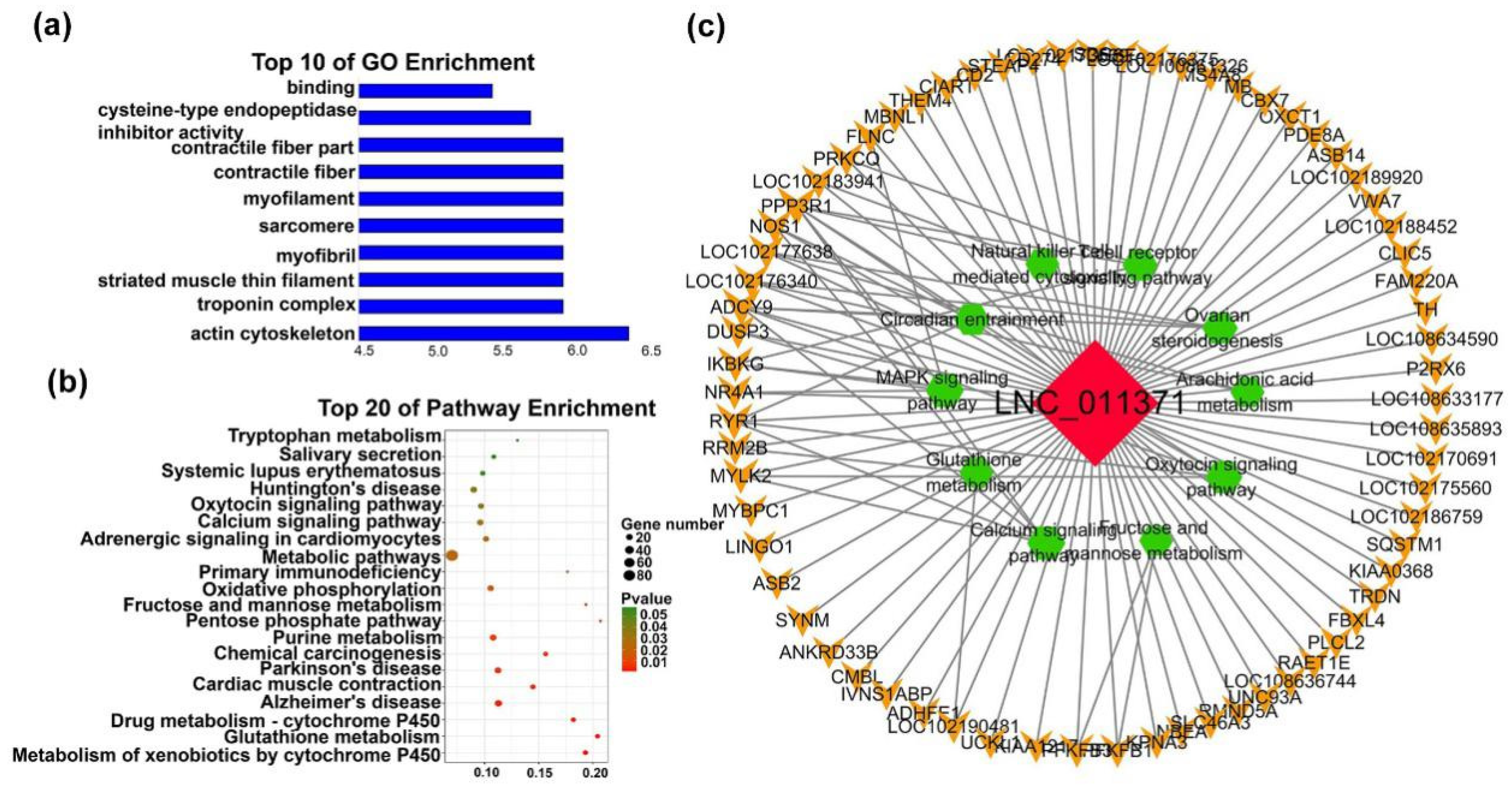 Ijms 20 03950 g005 Ijms 20 03950 g005