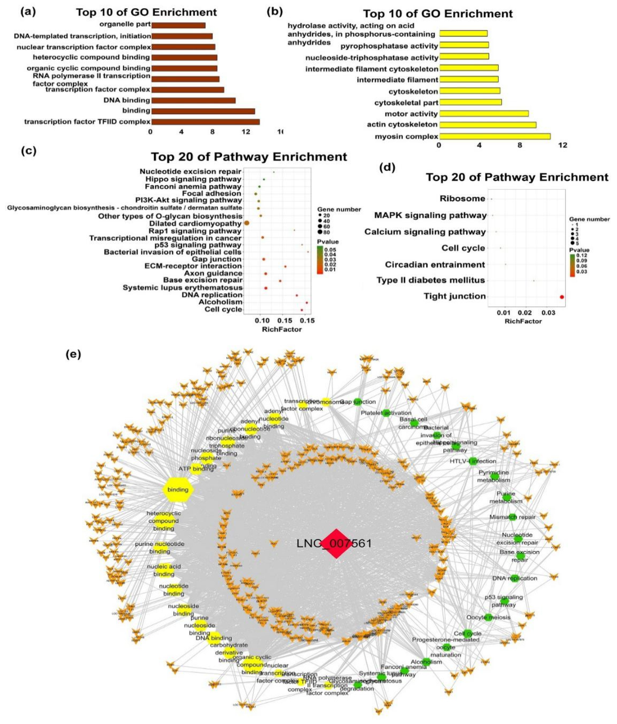 Ijms 20 03950 g006 Ijms 20 03950 g006