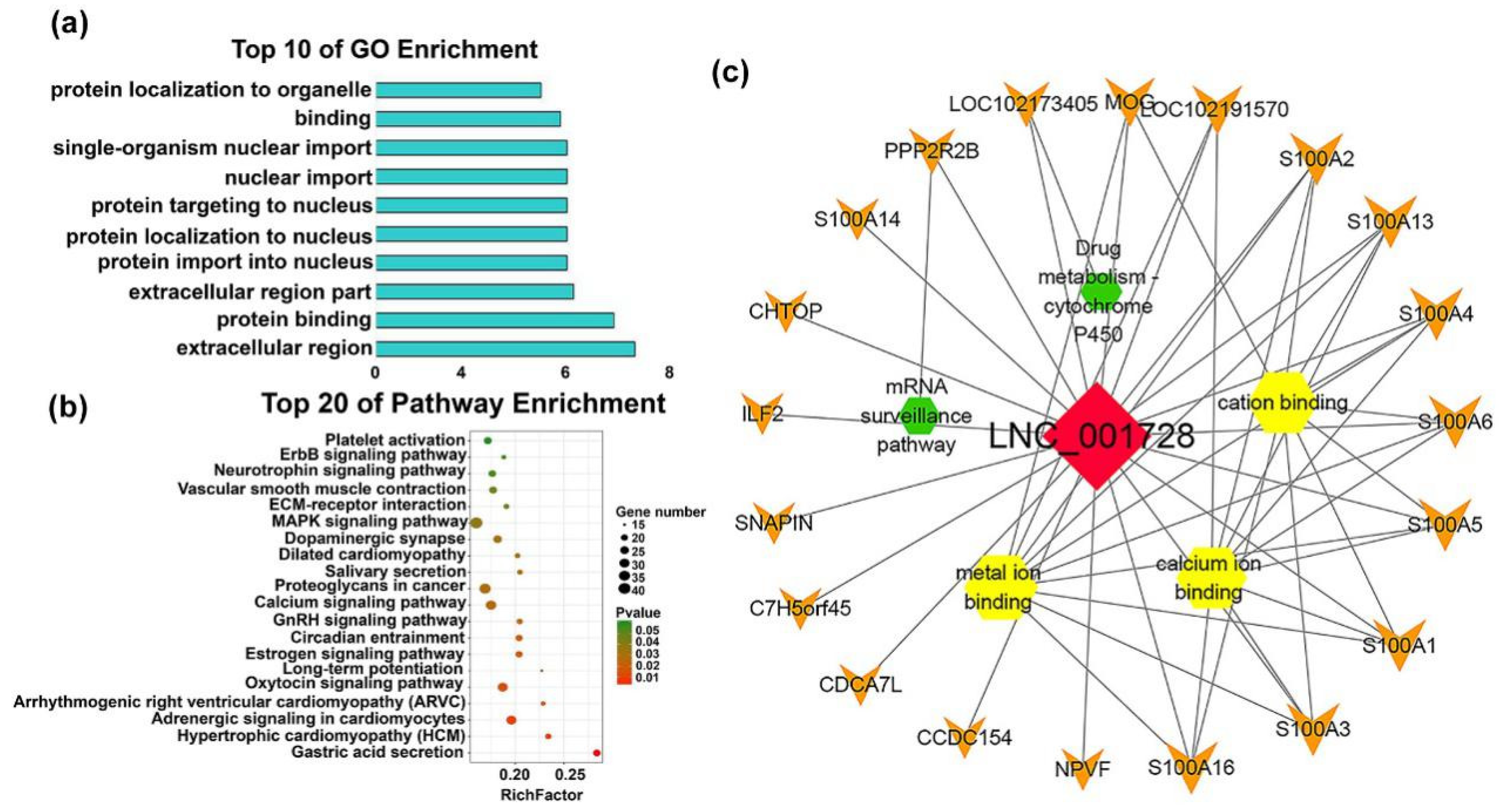 Ijms 20 03950 g007 Ijms 20 03950 g007