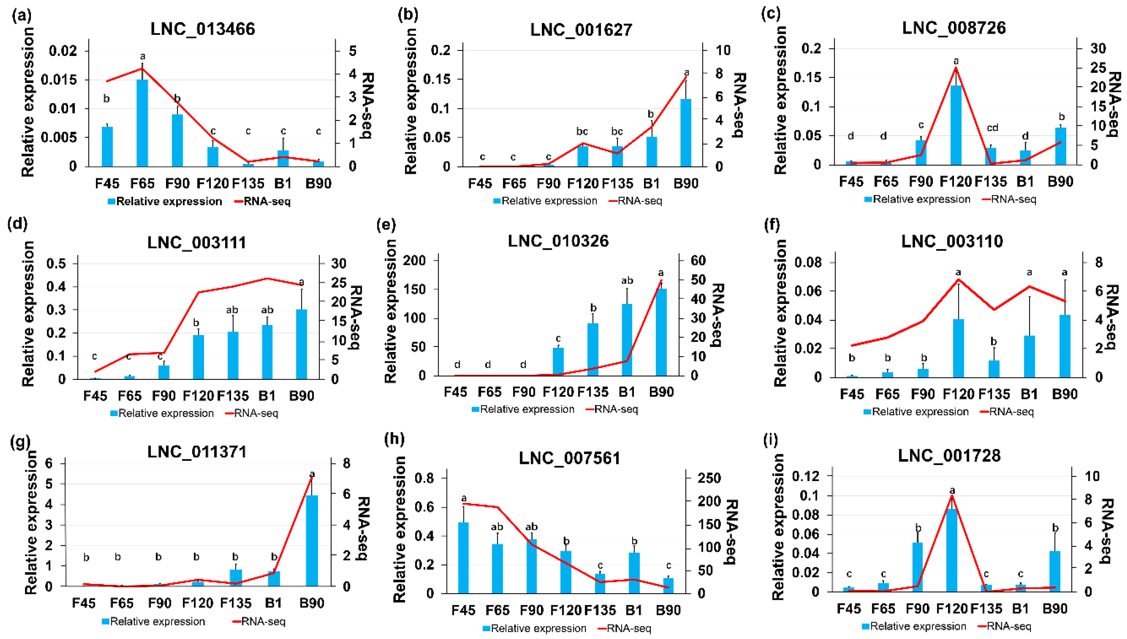Ijms 20 03950 g008 Ijms 20 03950 g008