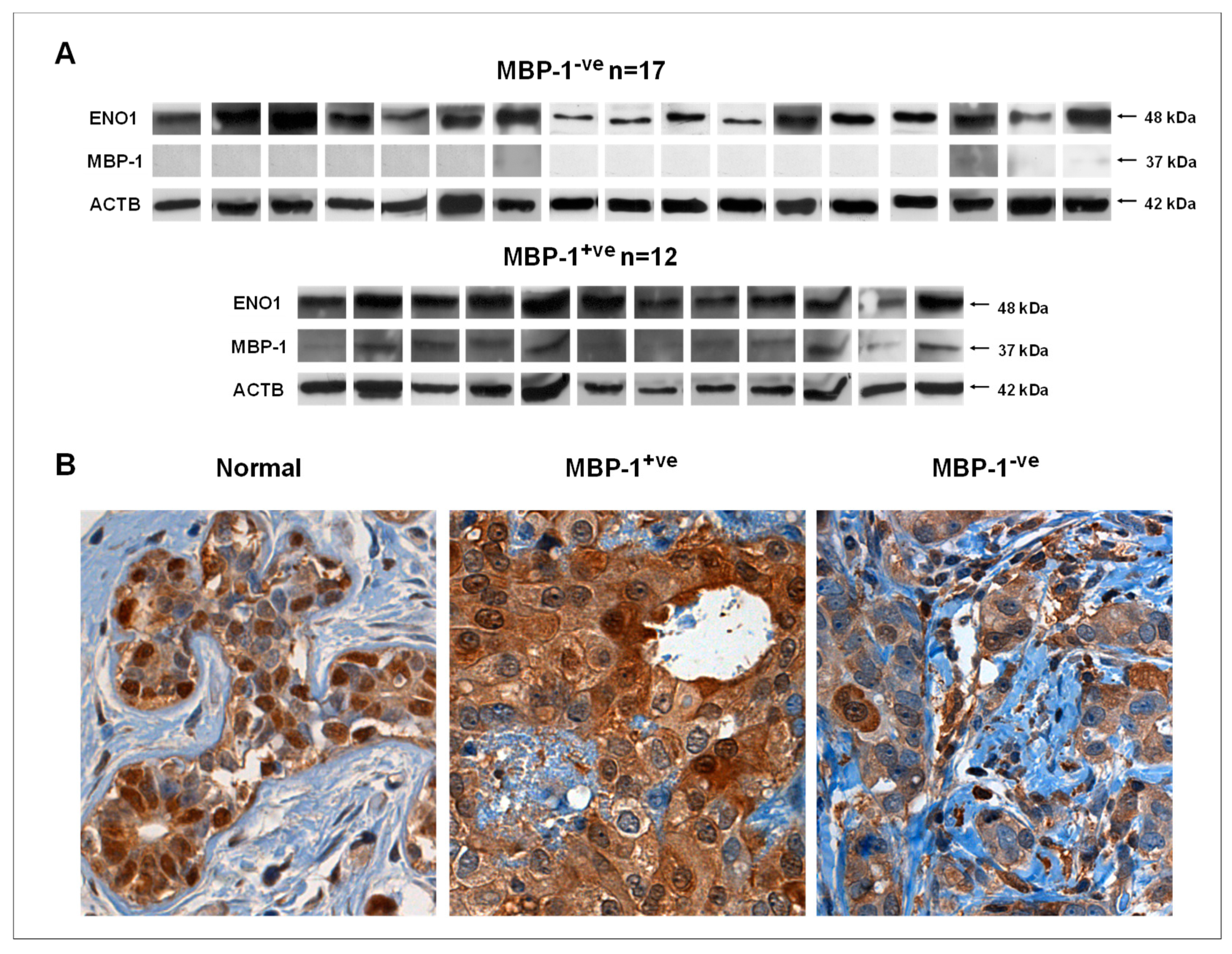 Ijms 20 03952 g003 Ijms 20 03952 g003