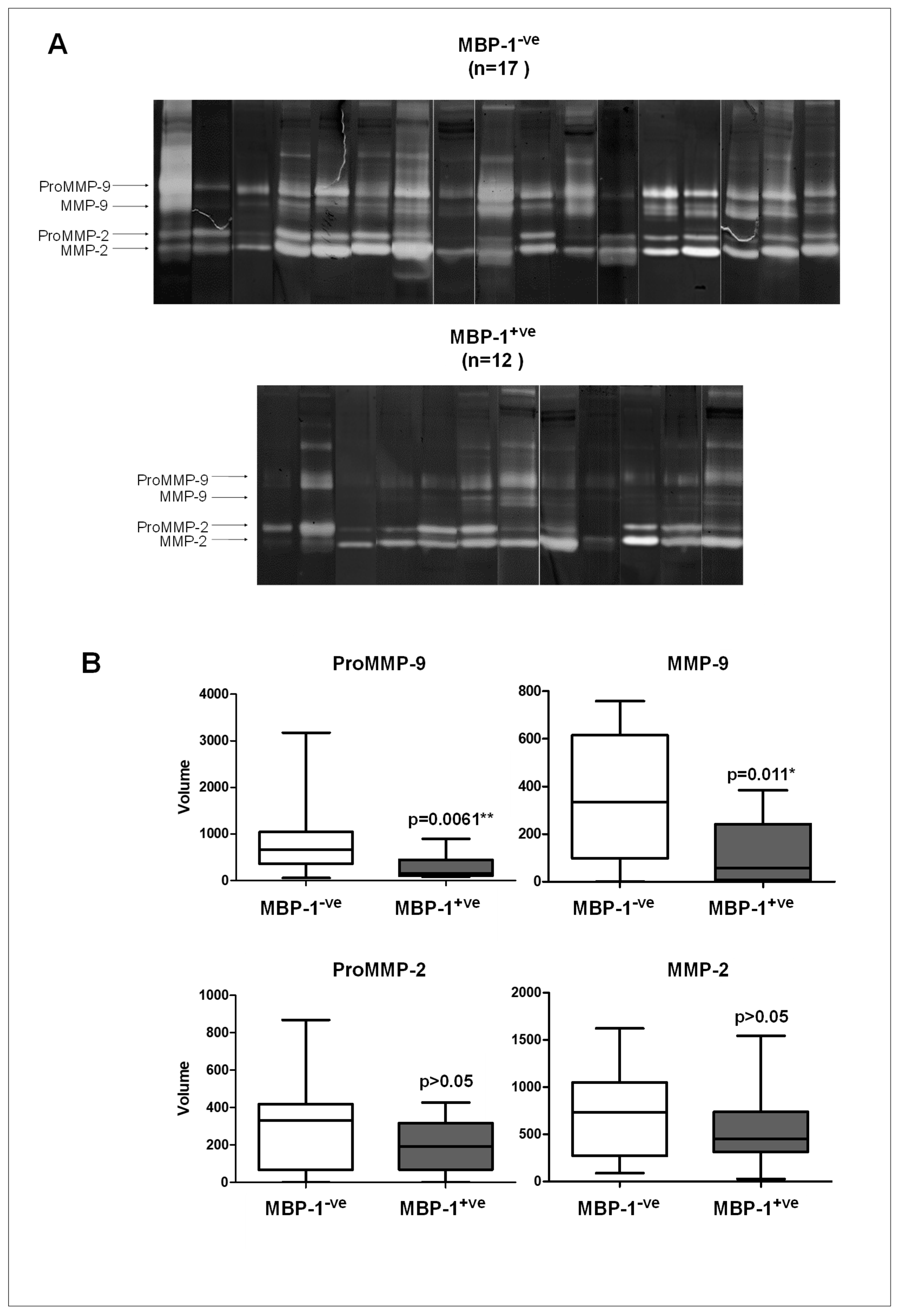 Ijms 20 03952 g004 Ijms 20 03952 g004