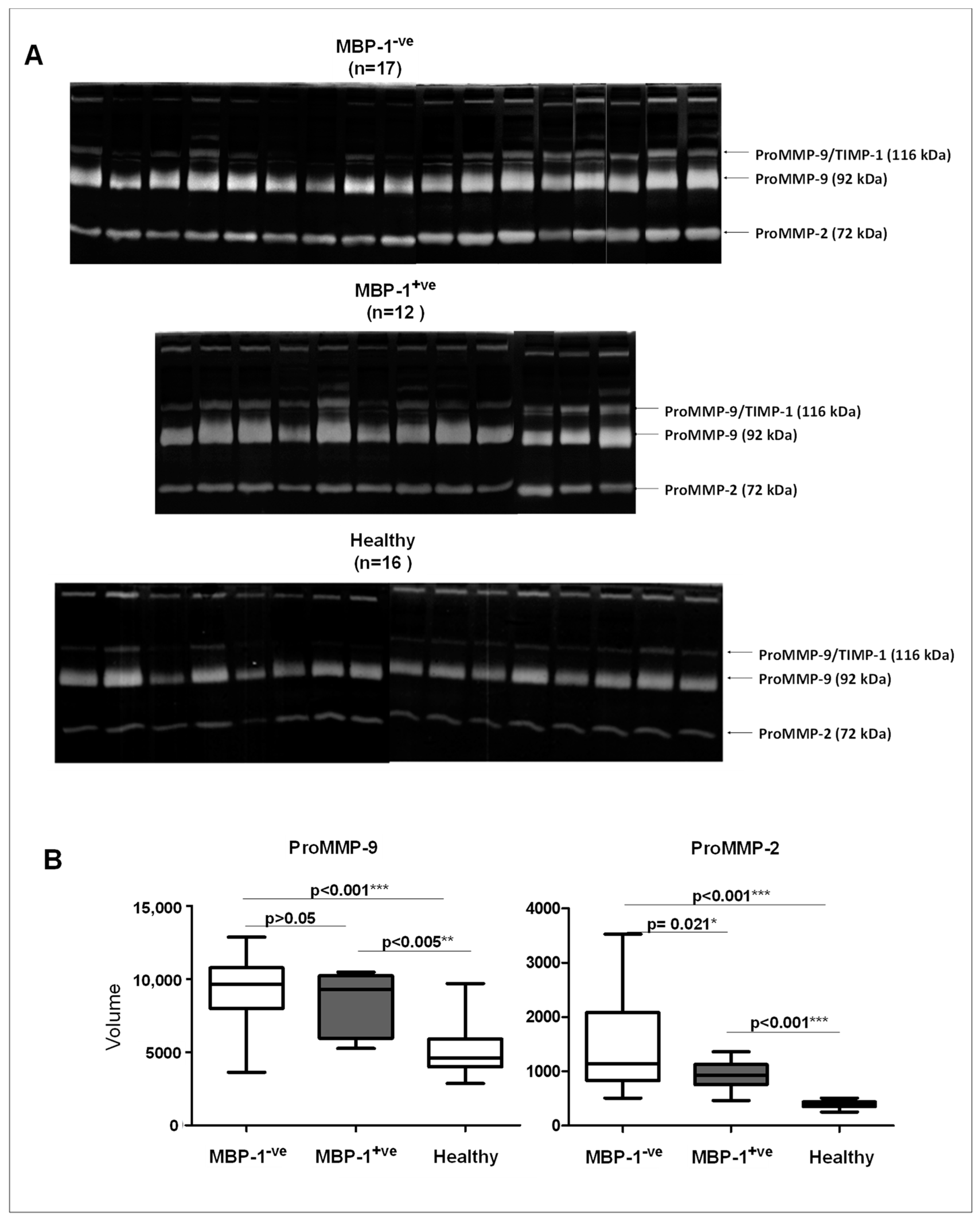 Ijms 20 03952 g005 Ijms 20 03952 g005