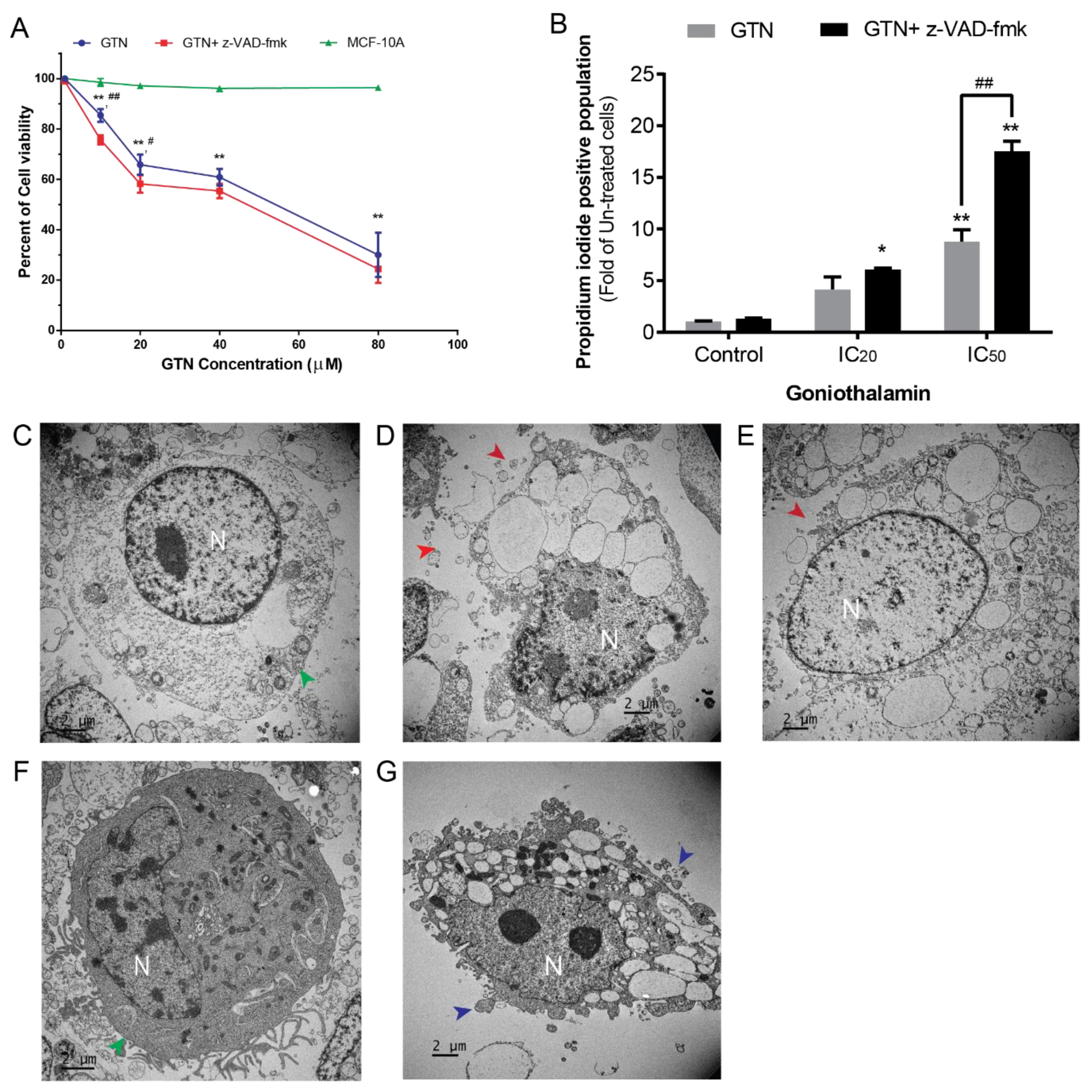 Ijms 20 03953 g001 Ijms 20 03953 g001