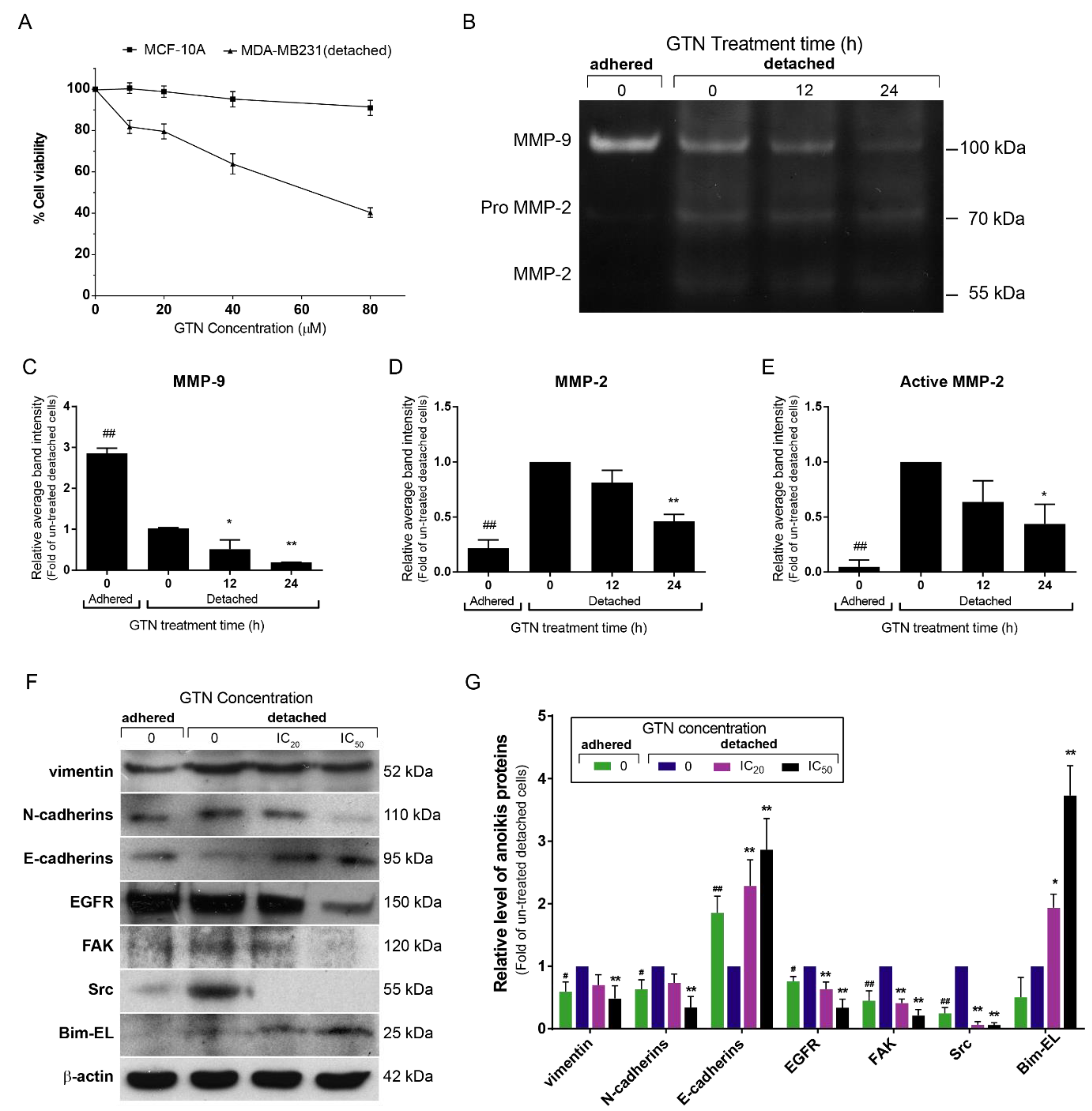 Ijms 20 03953 g005 Ijms 20 03953 g005