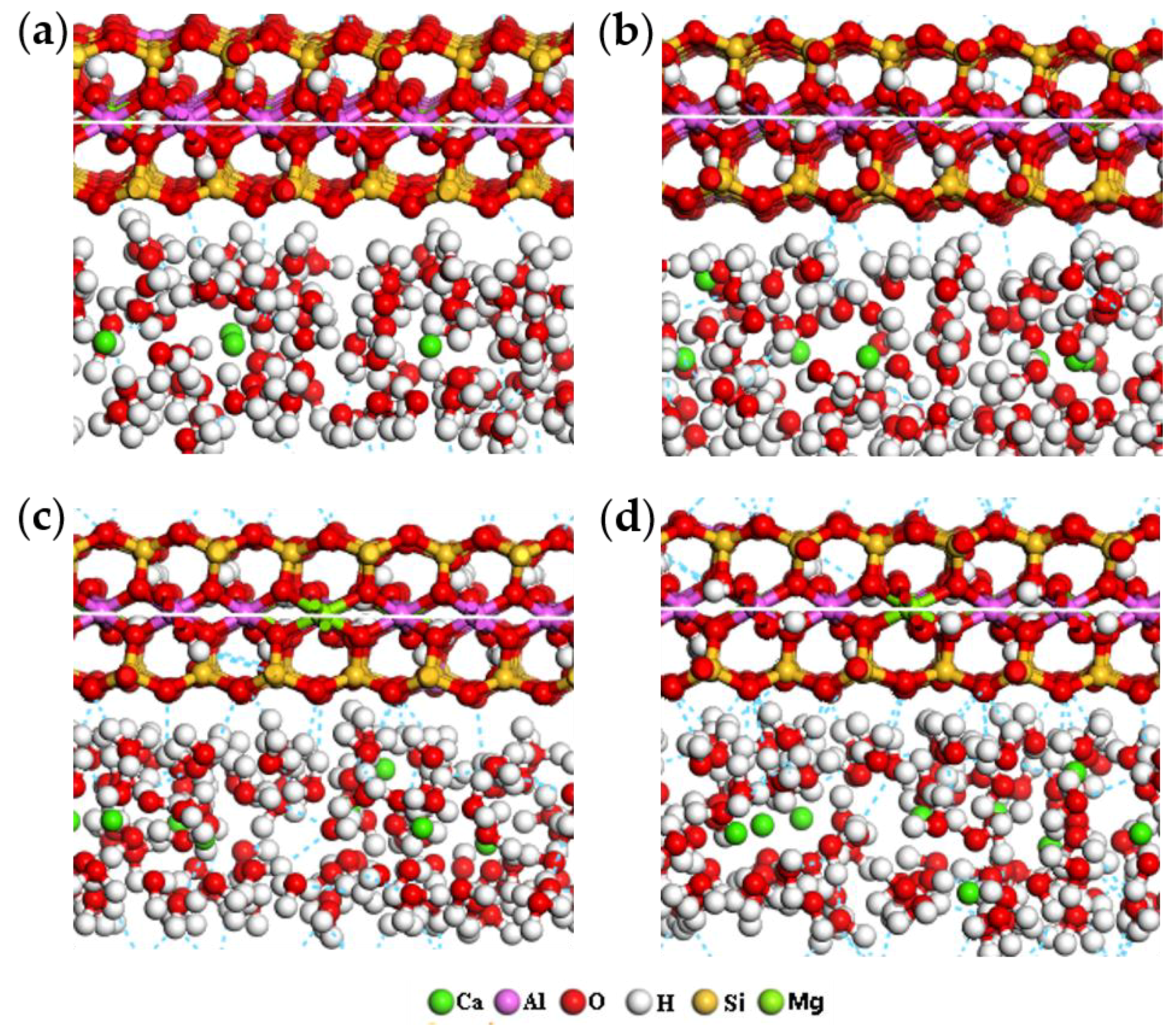 Ijms 20 03997 g009 Ijms 20 03997 g009
