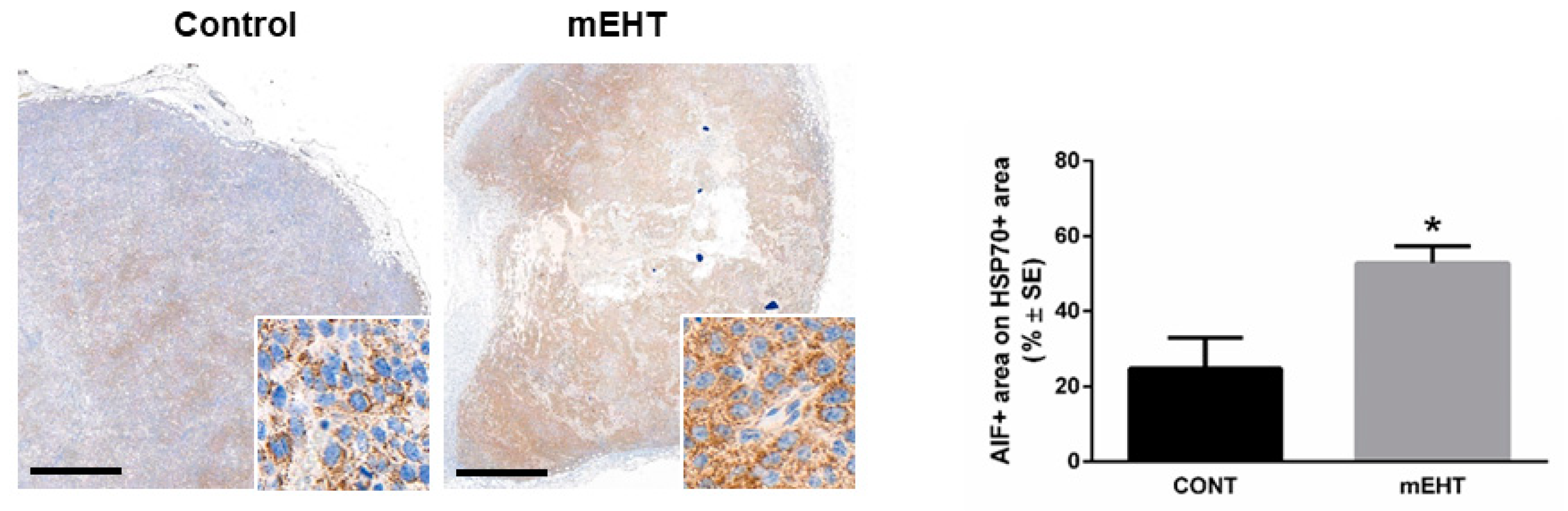 Ijms 20 04019 g005