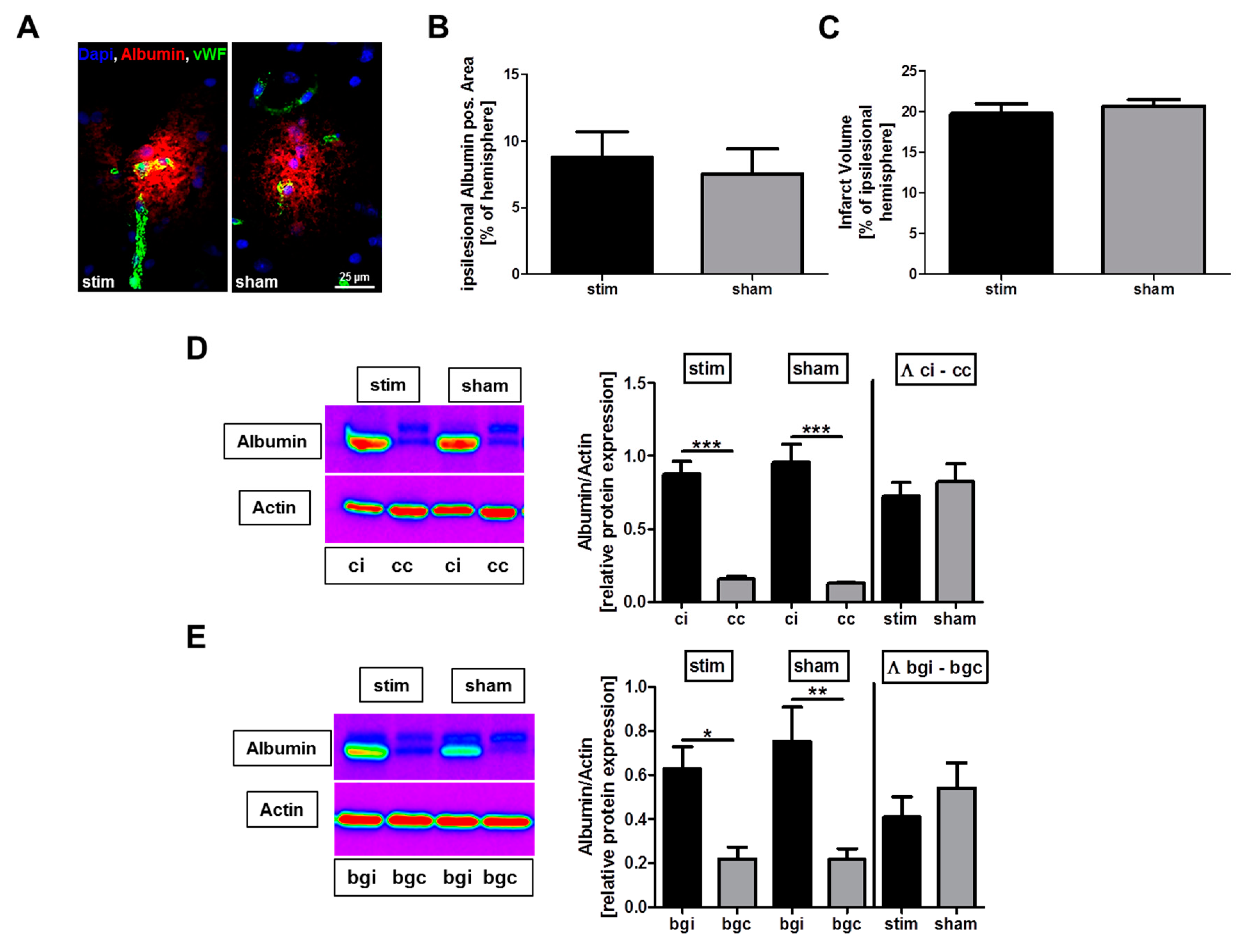 Ijms 20 04036 g001 Ijms 20 04036 g001