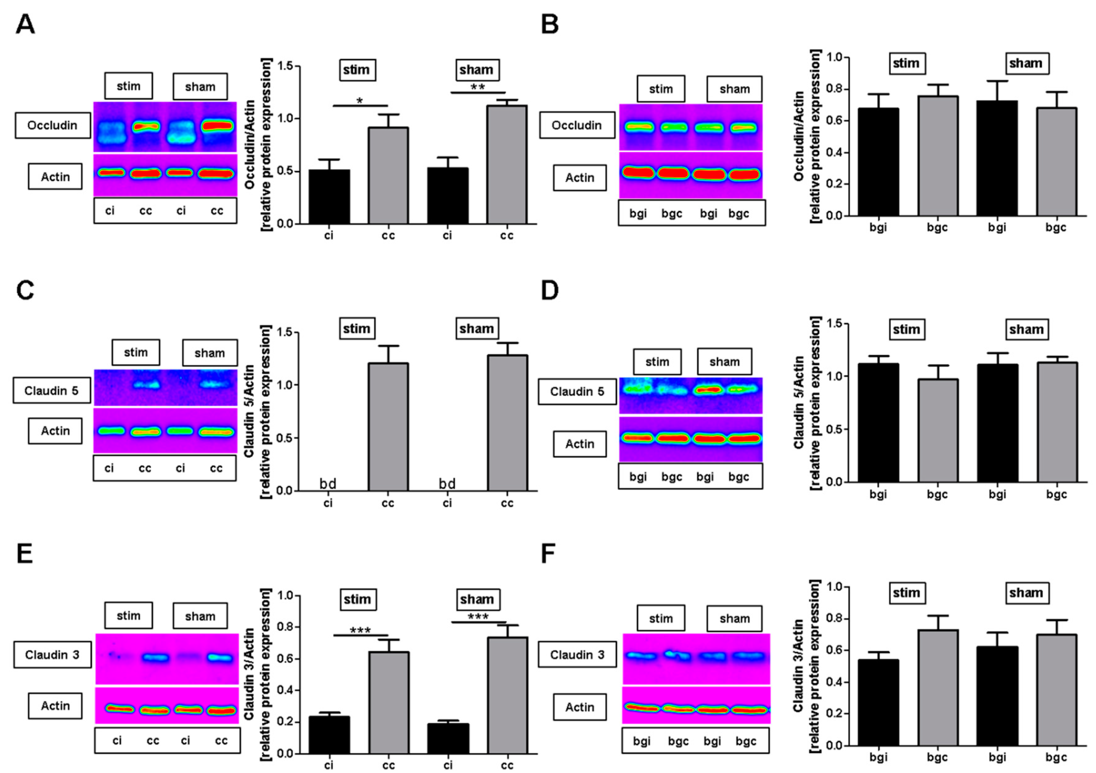 Ijms 20 04036 g002 Ijms 20 04036 g002