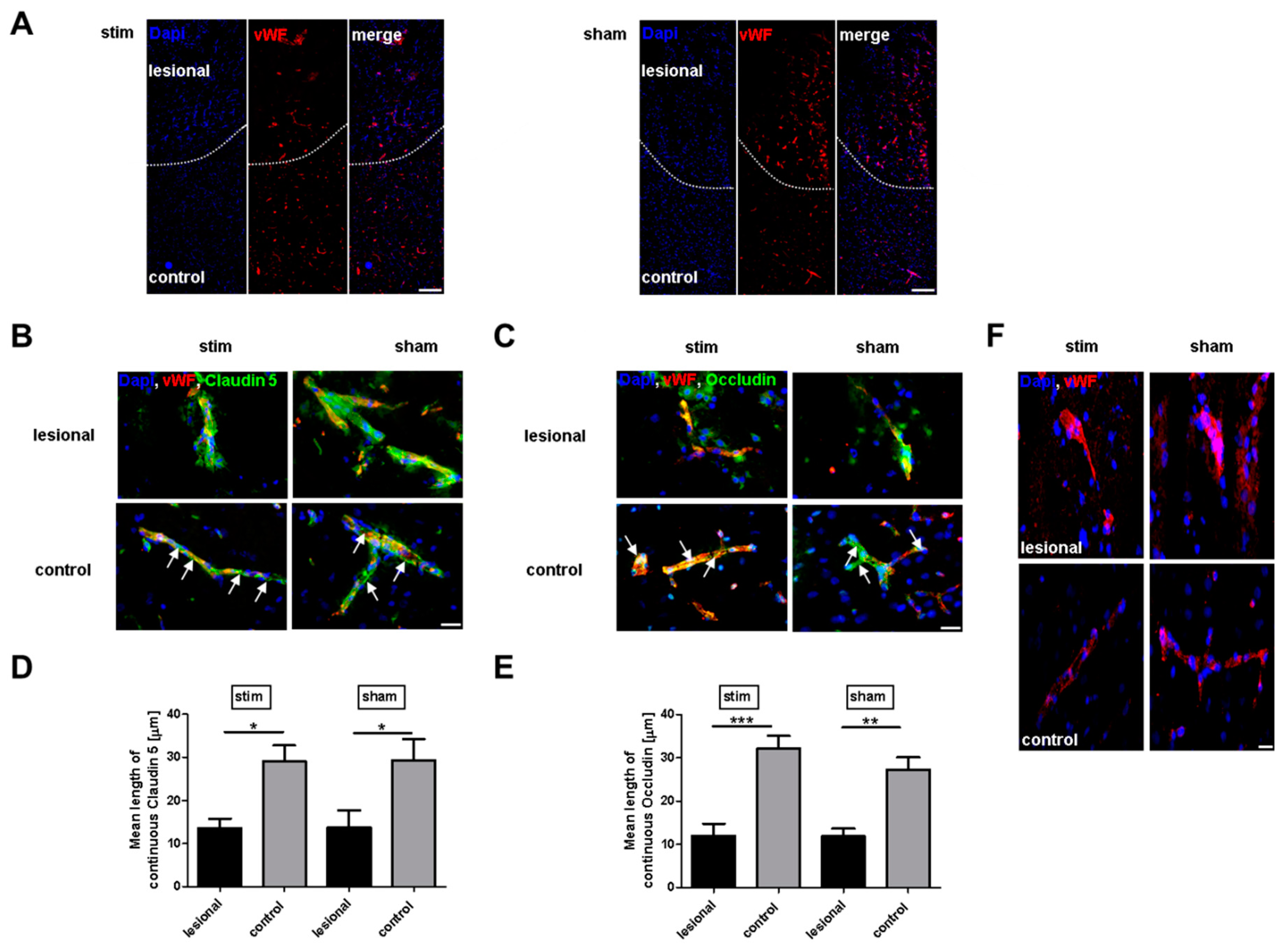 Ijms 20 04036 g003 Ijms 20 04036 g003