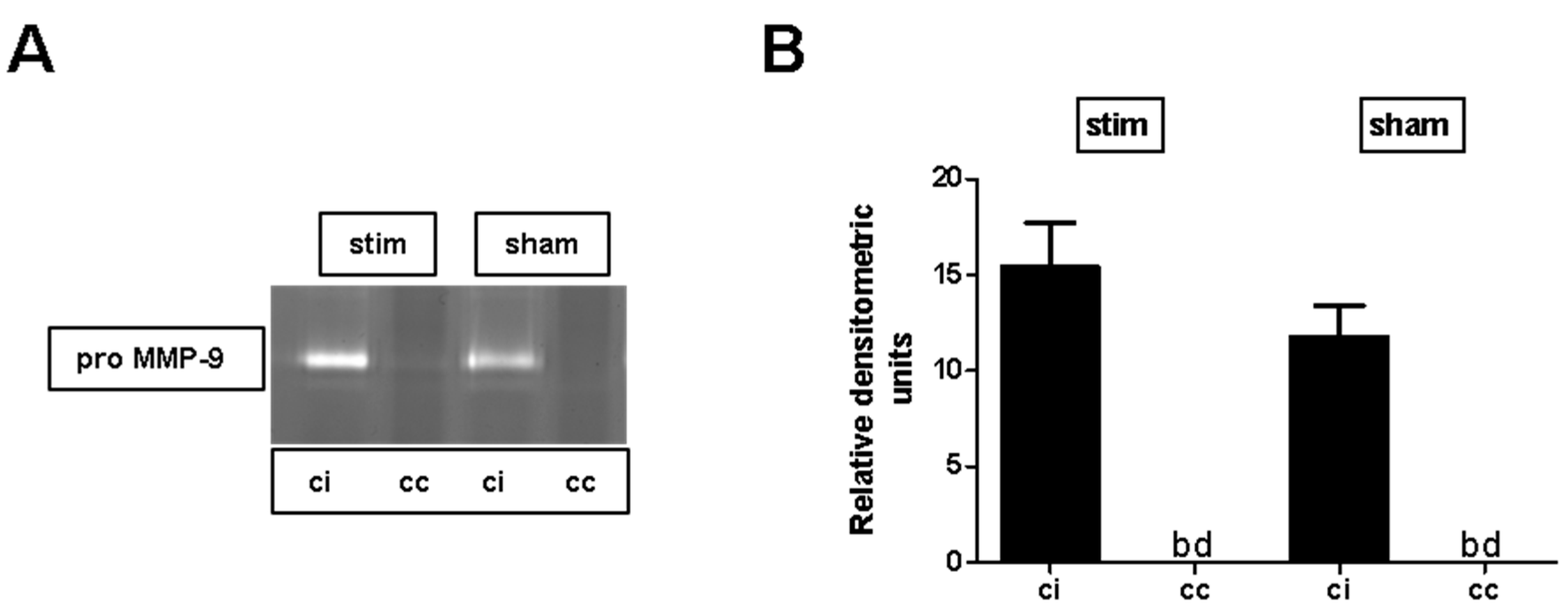 Ijms 20 04036 g004 Ijms 20 04036 g004