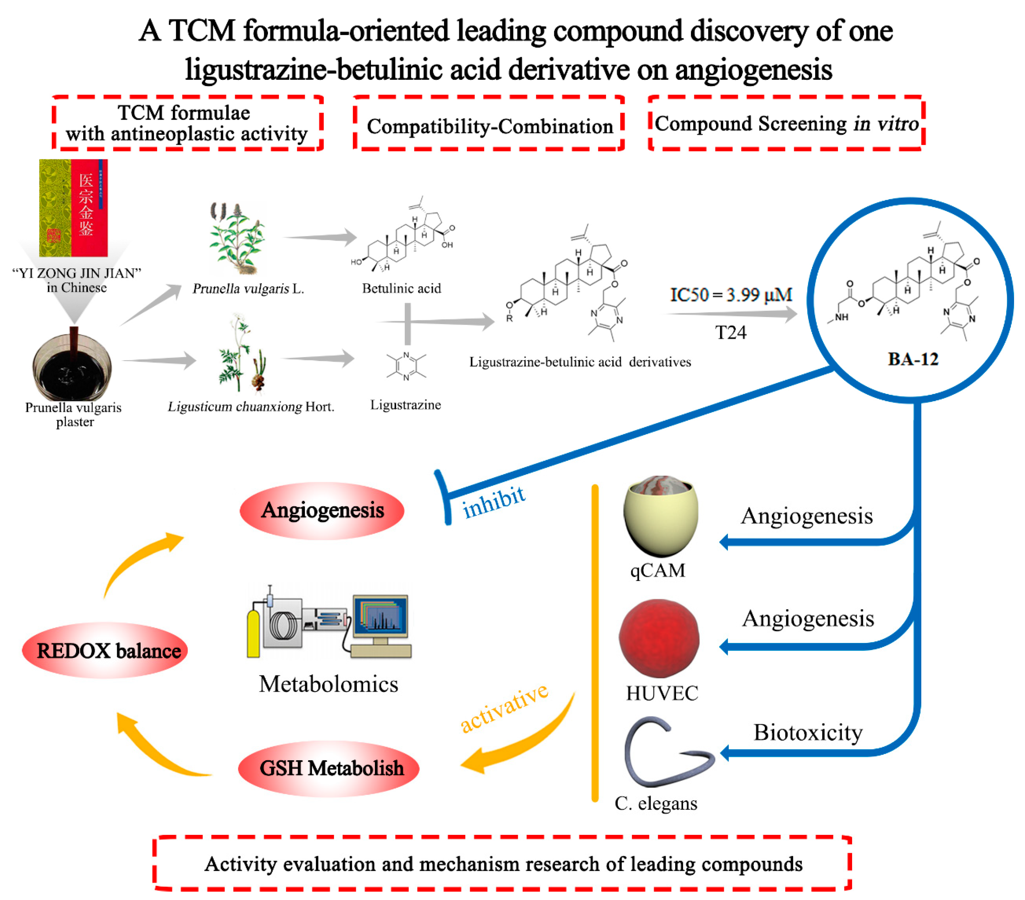 Ijms 20 04062 g001 Ijms 20 04062 g001