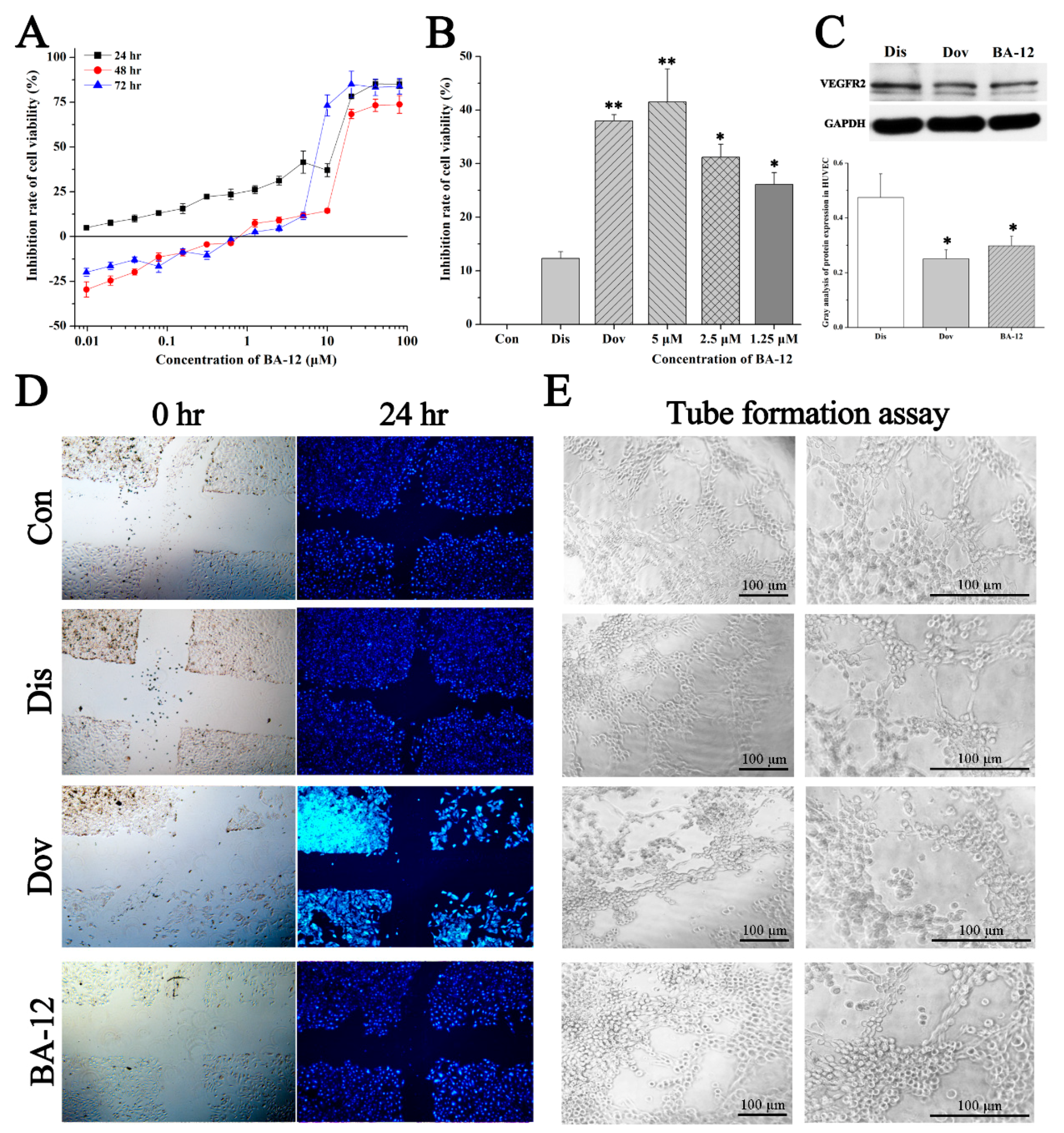 Ijms 20 04062 g005 Ijms 20 04062 g005
