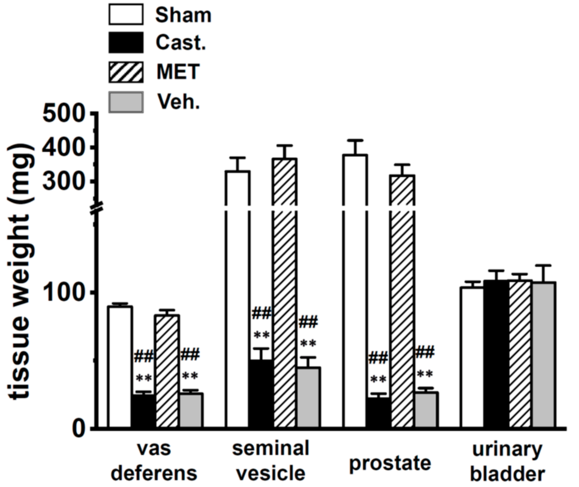 Ijms 20 04073 g001 Ijms 20 04073 g001