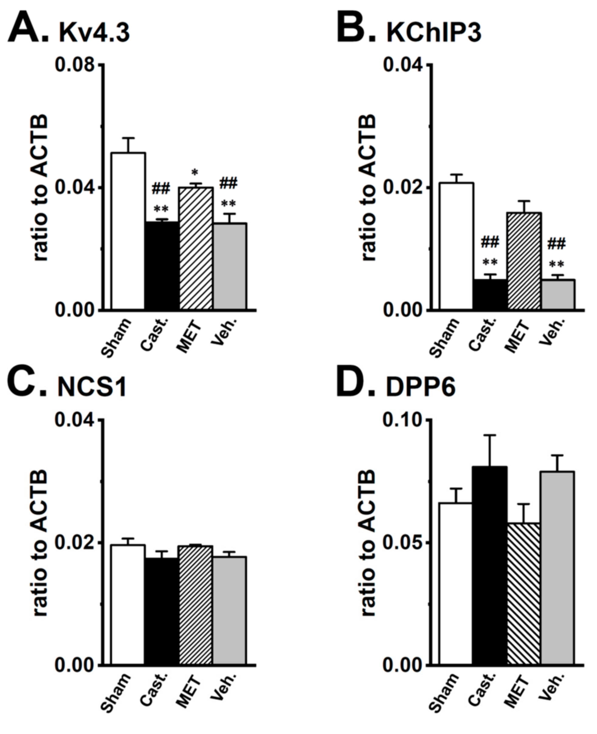 Ijms 20 04073 g005 Ijms 20 04073 g005