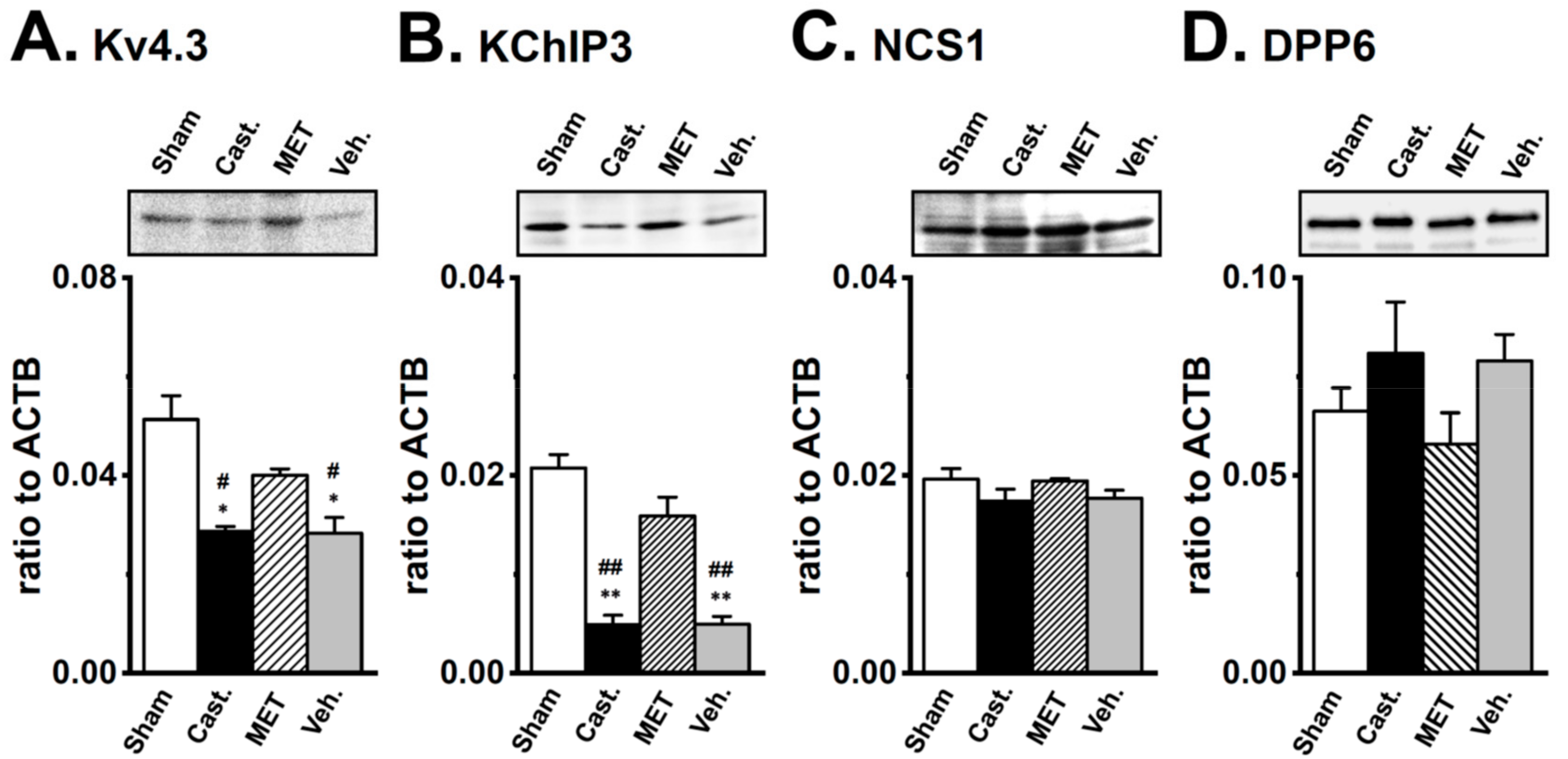 Ijms 20 04073 g006 Ijms 20 04073 g006