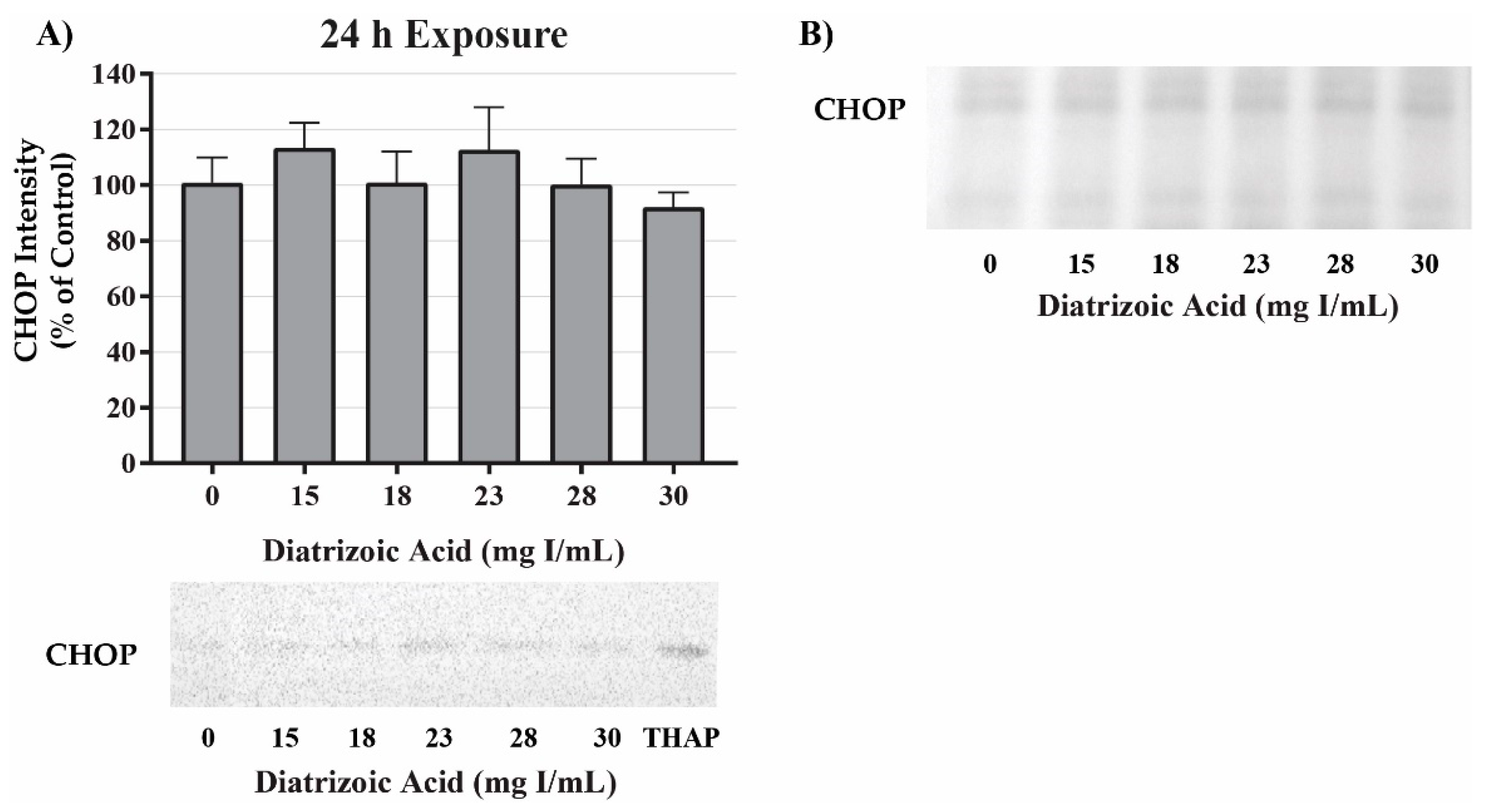 Ijms 20 04074 g010 Ijms 20 04074 g010