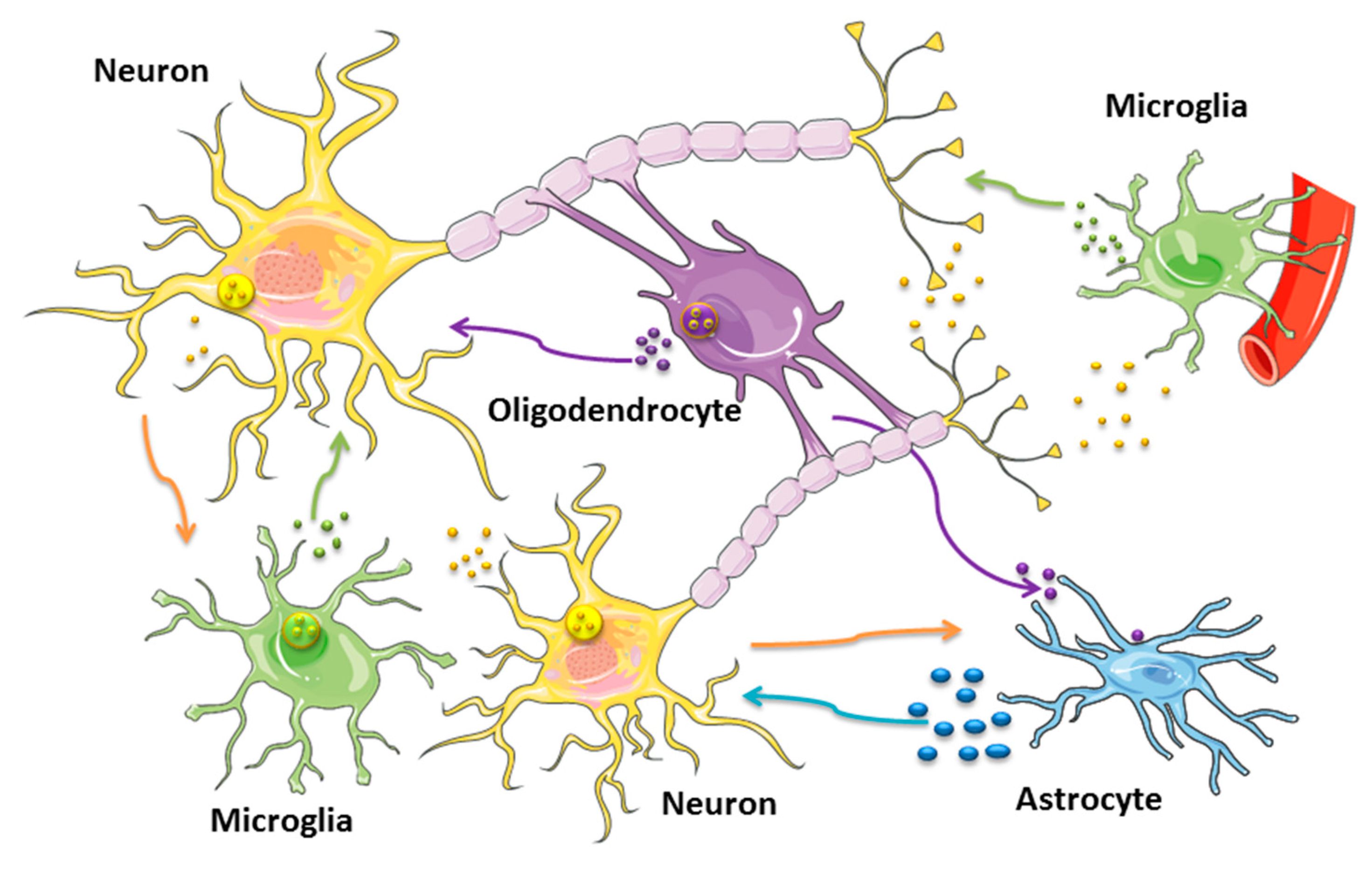 Ijms 20 04113 g002 Ijms 20 04113 g002