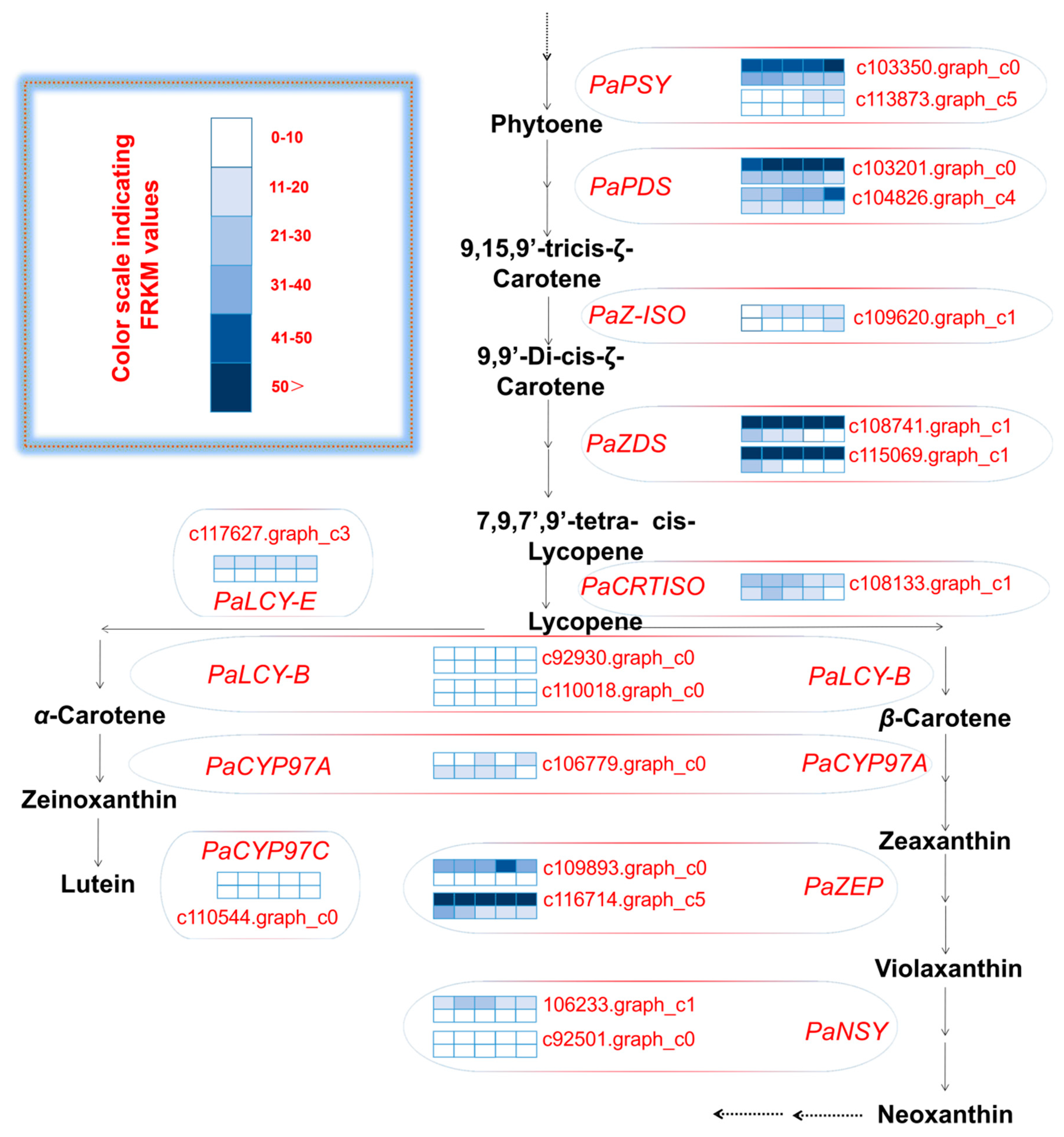 Ijms 20 04117 g004 Ijms 20 04117 g004