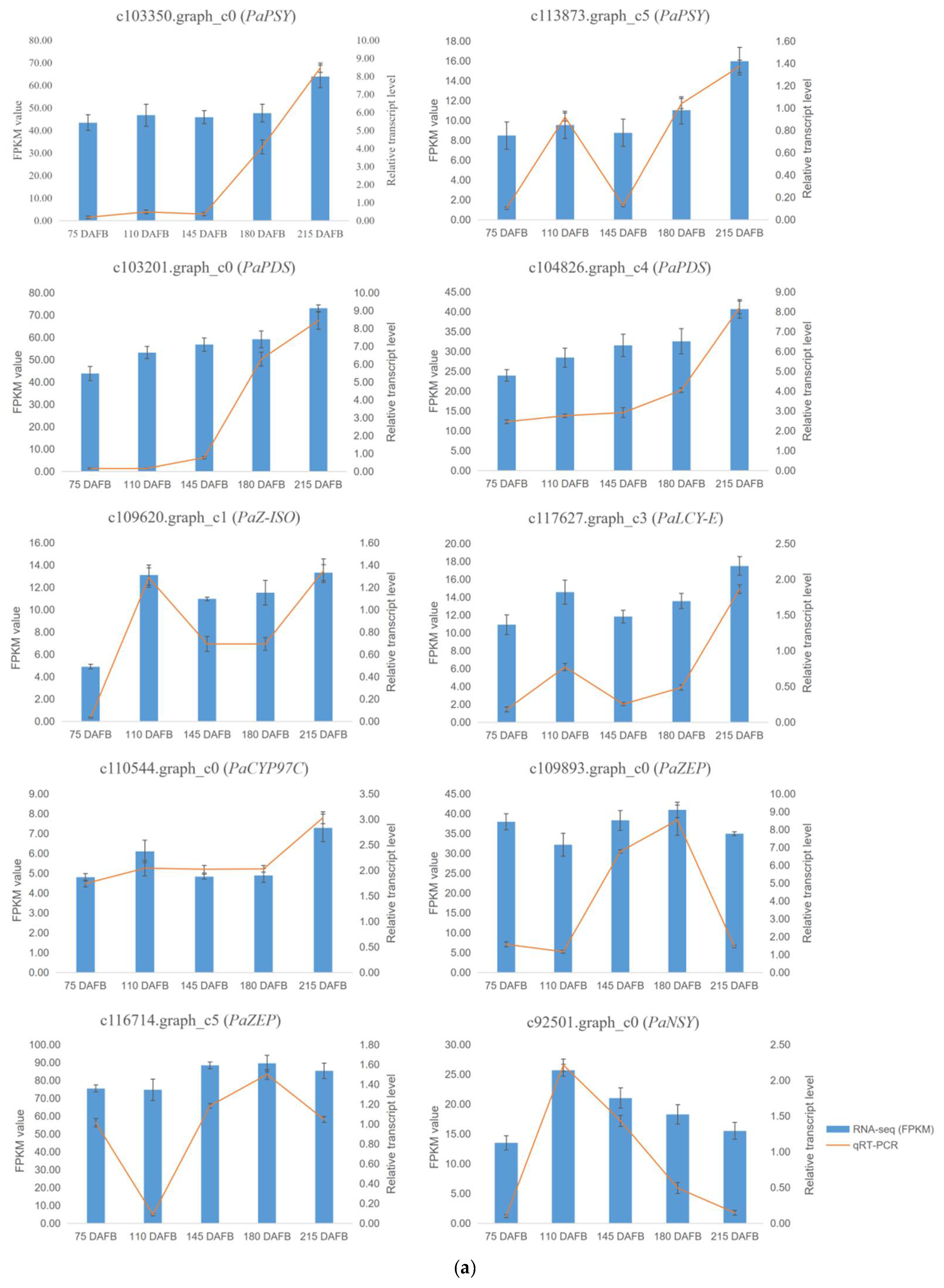 Ijms 20 04117 g005a Ijms 20 04117 g005a