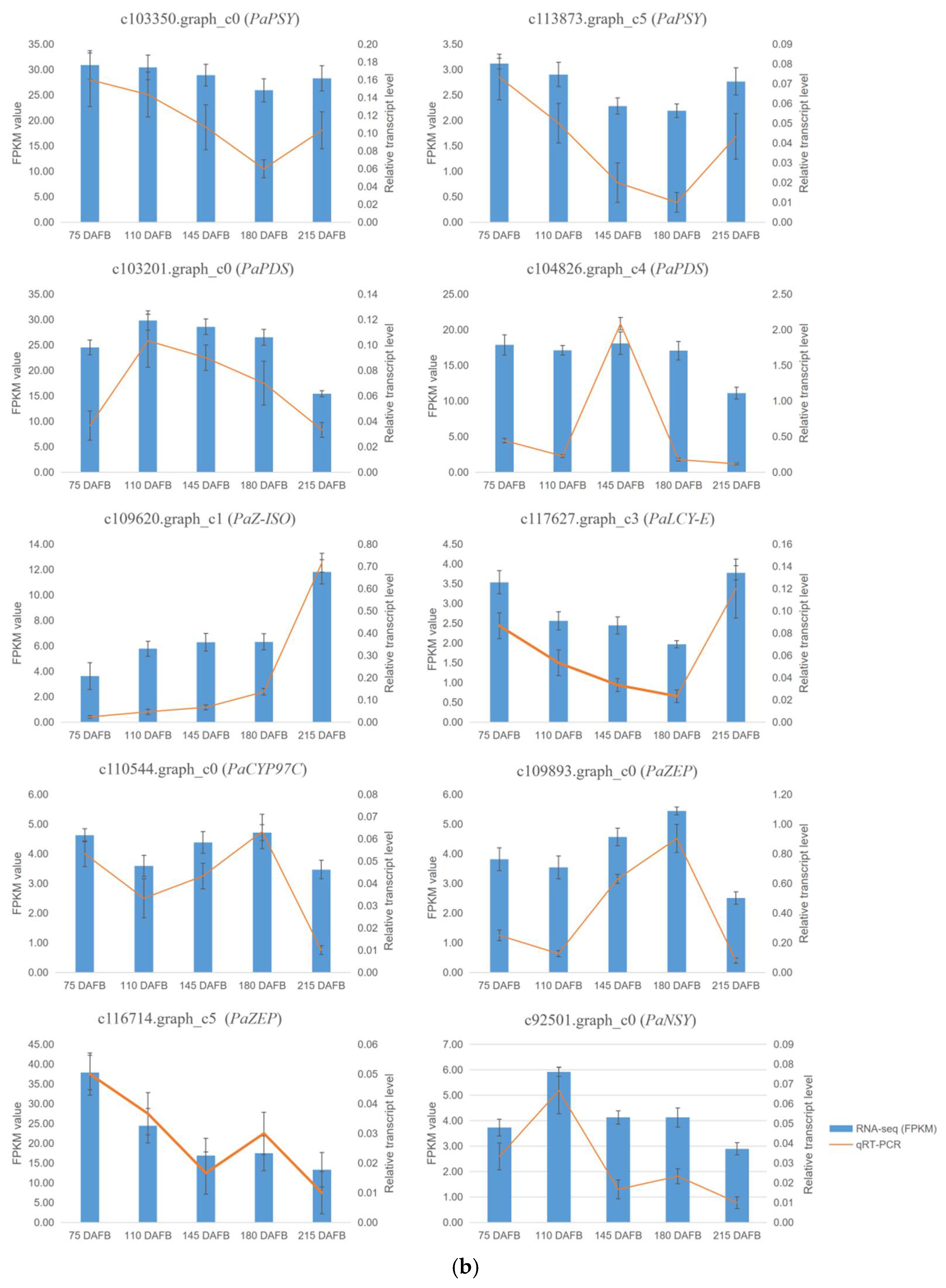 Ijms 20 04117 g005b Ijms 20 04117 g005b