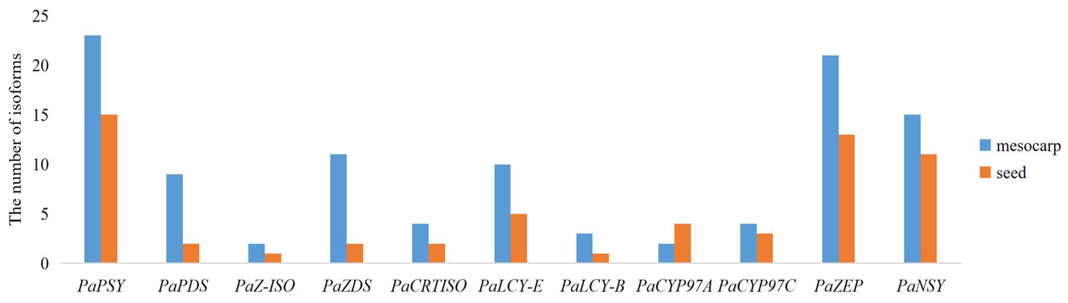 Ijms 20 04117 g006 Ijms 20 04117 g006
