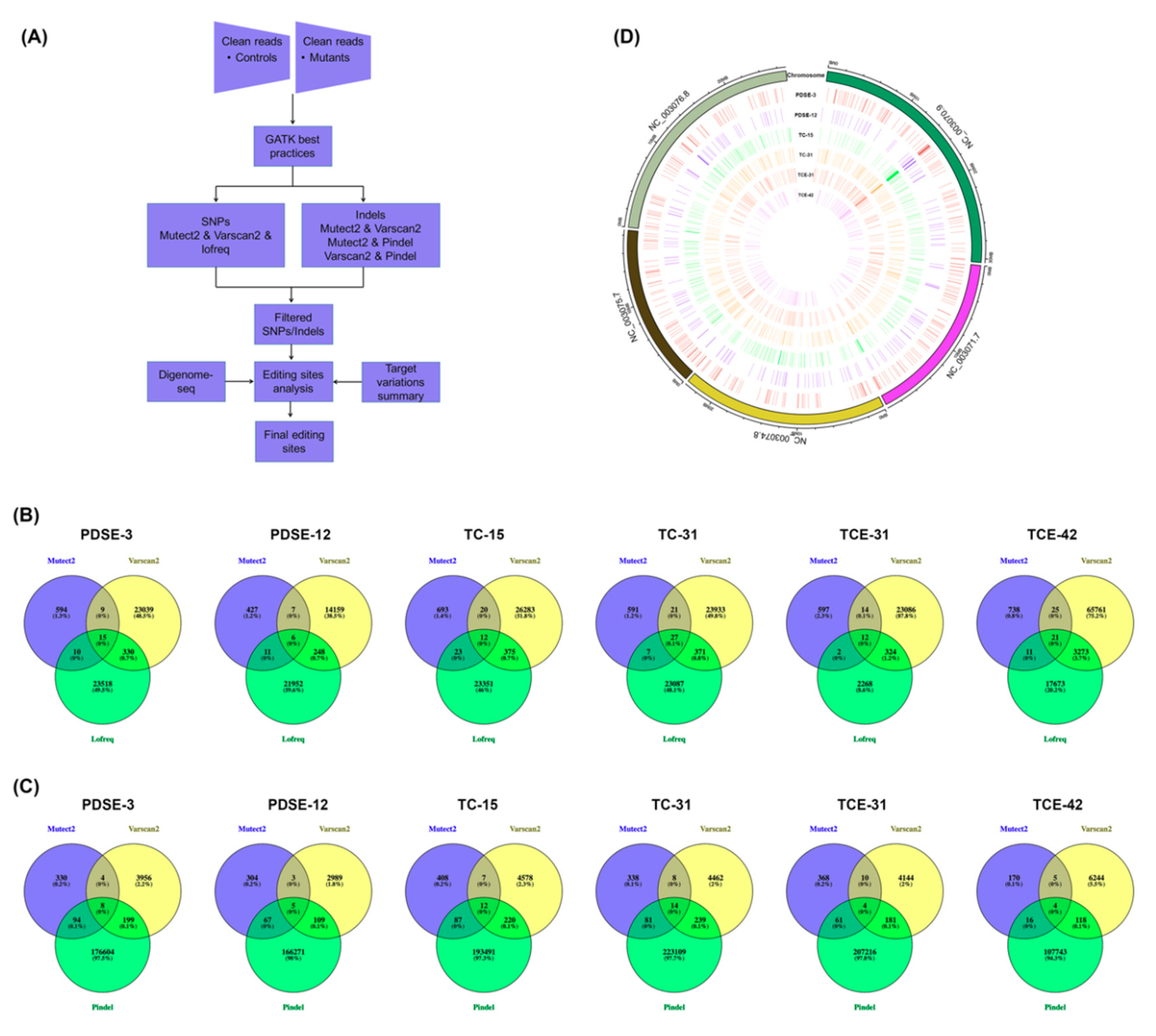 Ijms 20 04125 g004 Ijms 20 04125 g004