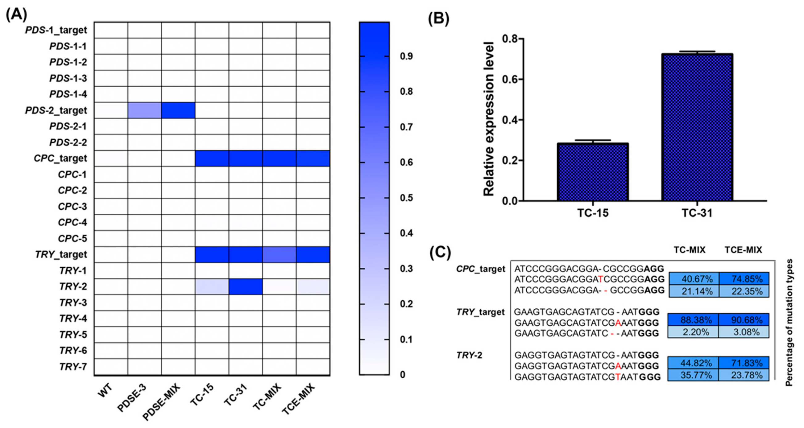 Ijms 20 04125 g005 Ijms 20 04125 g005