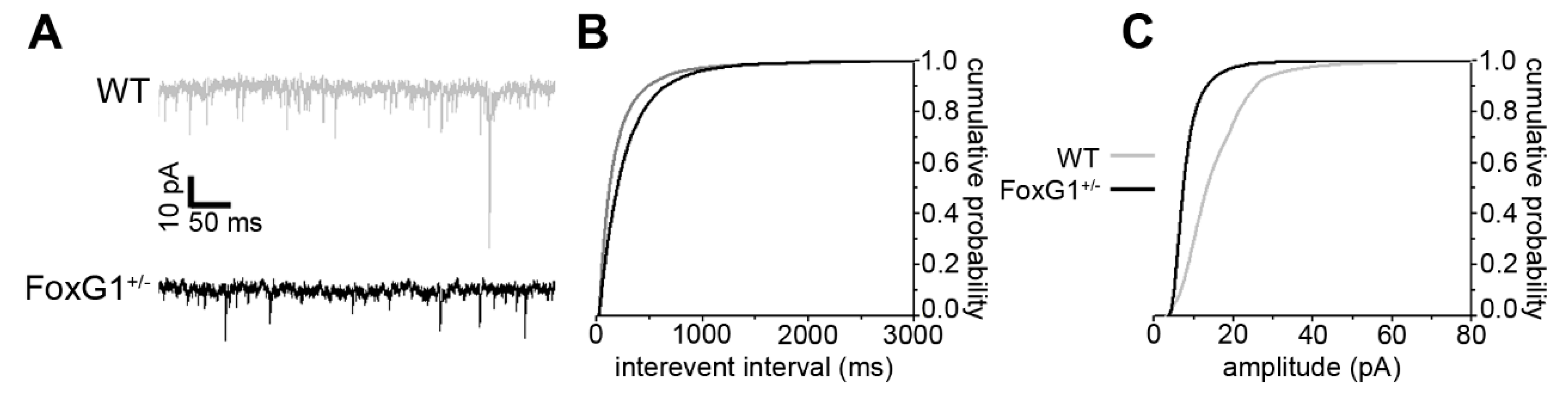 Ijms 20 04127 g004